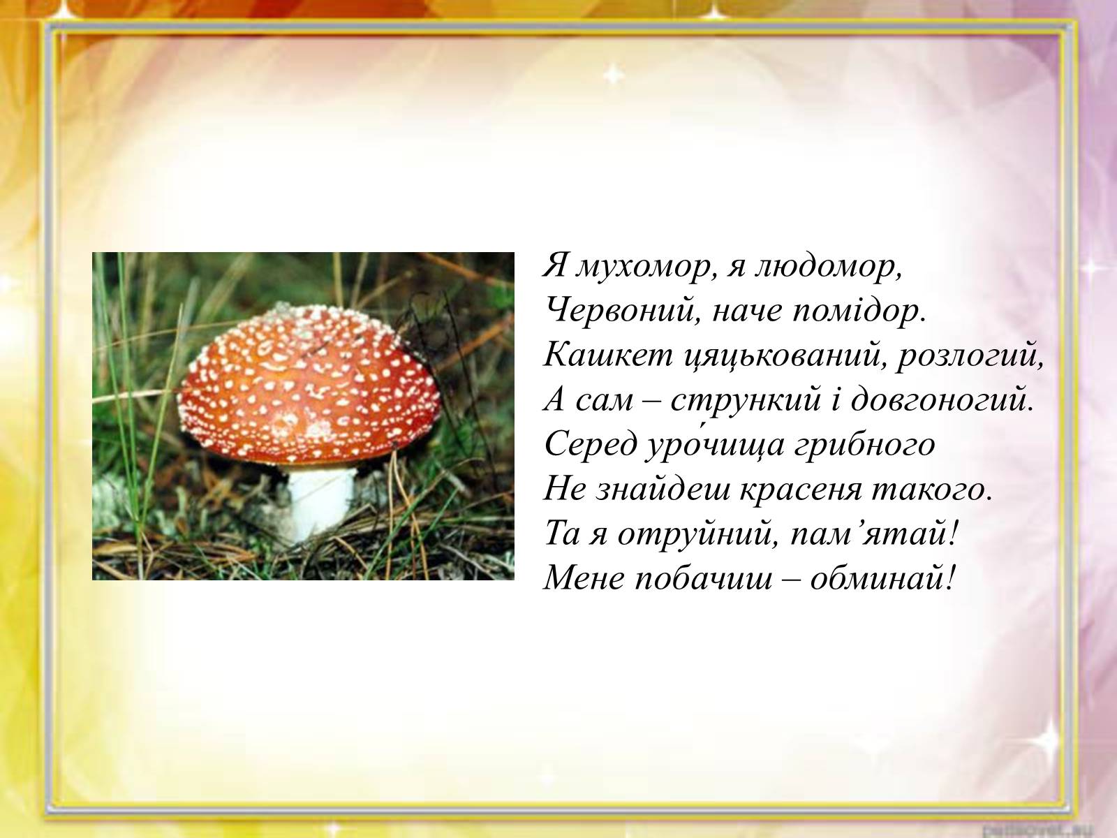 Презентація на тему «Займенник» - Слайд #19 Презентація на тему «Займенник» - Слайд #19