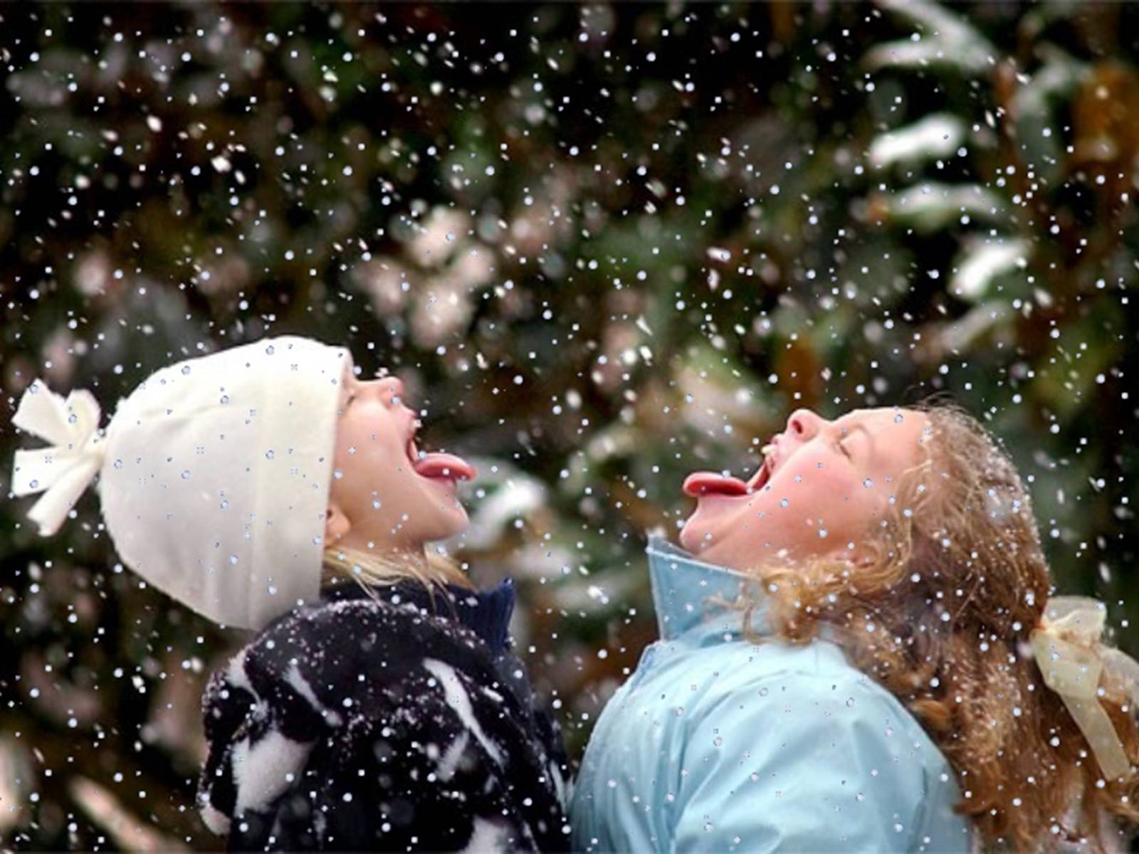Презентація на тему «Winter holidays» - Слайд #15 Презентація на тему «Winter holidays» - Слайд #15