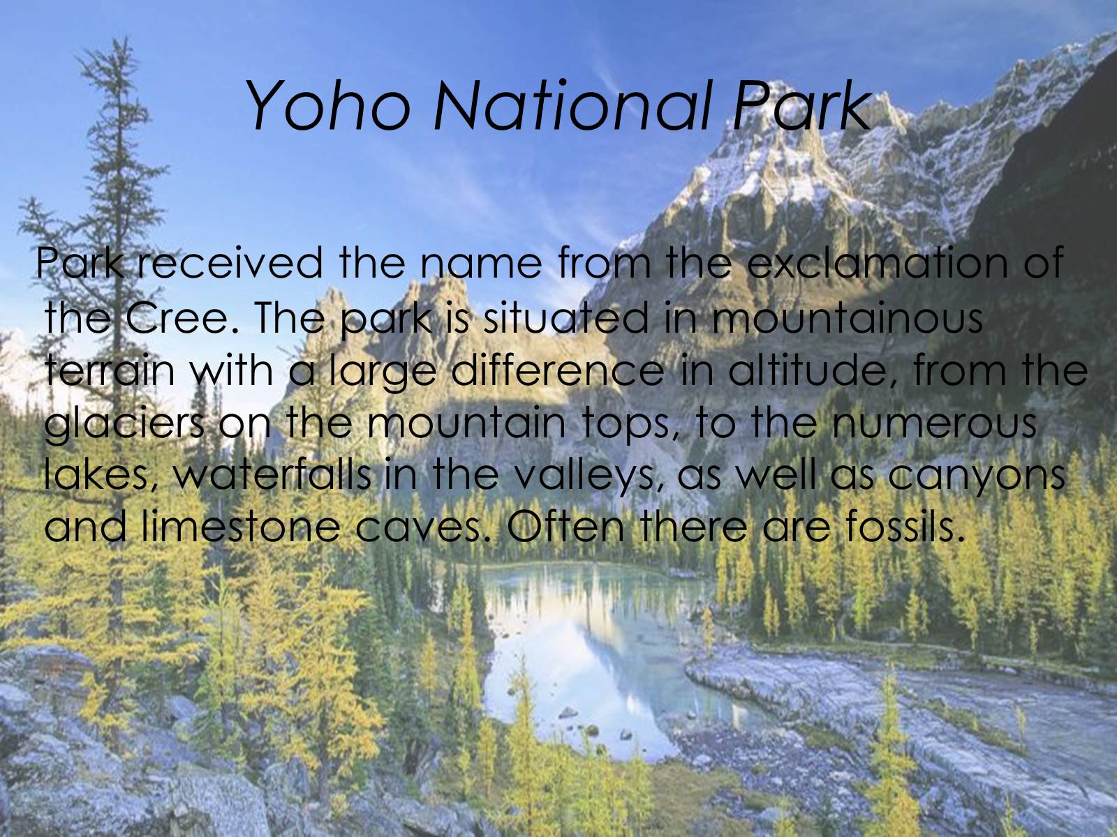 Презентація на тему «World Heritage Sites in Canada» - Слайд #16 Презентація на тему «World Heritage Sites in Canada» - Слайд #16