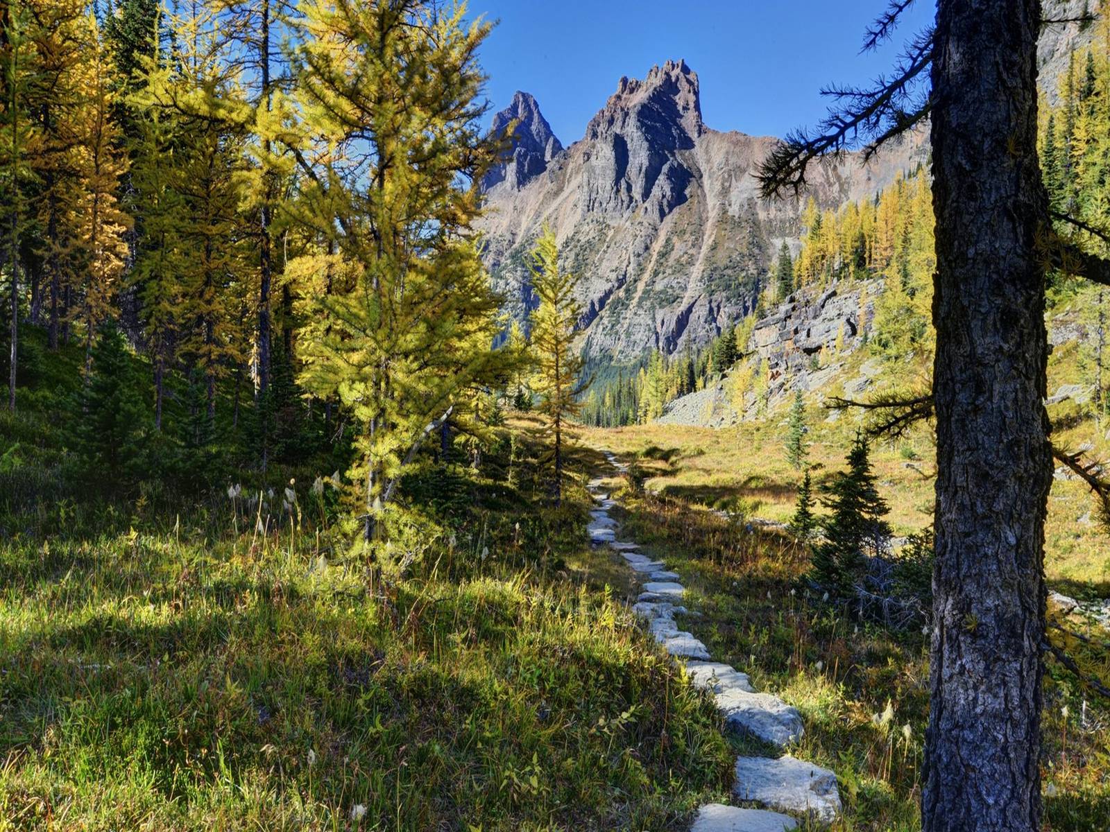 Презентація на тему «World Heritage Sites in Canada» - Слайд #17 Презентація на тему «World Heritage Sites in Canada» - Слайд #17