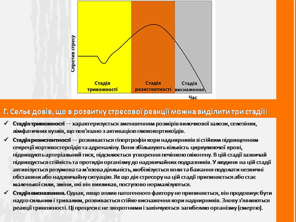 Презентація на тему «Стрес» (варіант 3) - Слайд #4 Презентація на тему «Стрес» (варіант 3) - Слайд #4