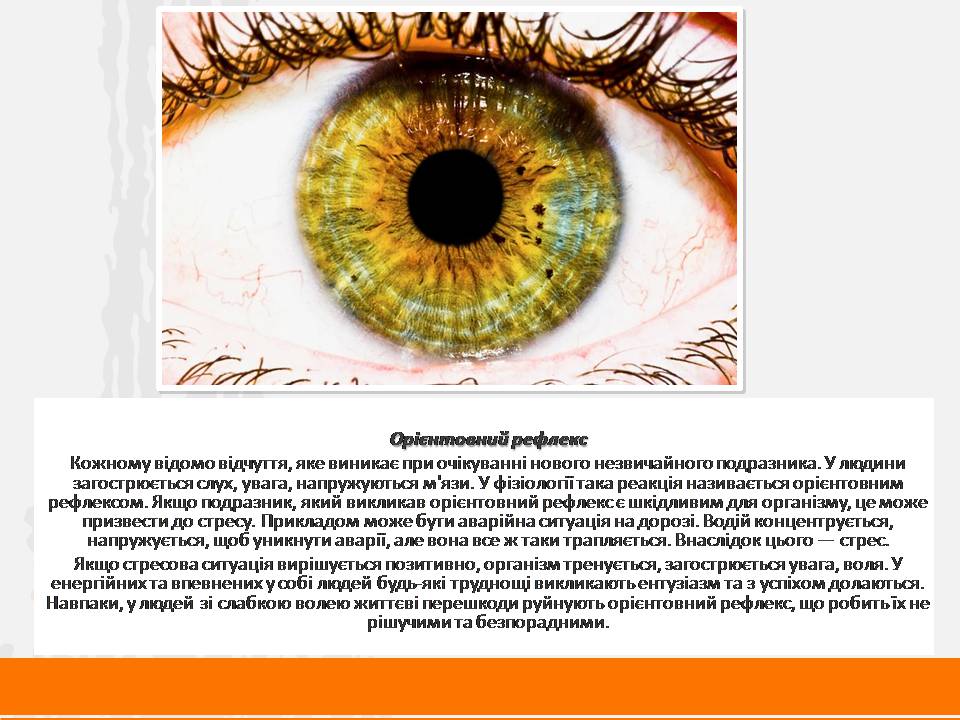 Презентація на тему «Стрес» (варіант 3) - Слайд #9 Презентація на тему «Стрес» (варіант 3) - Слайд #9
