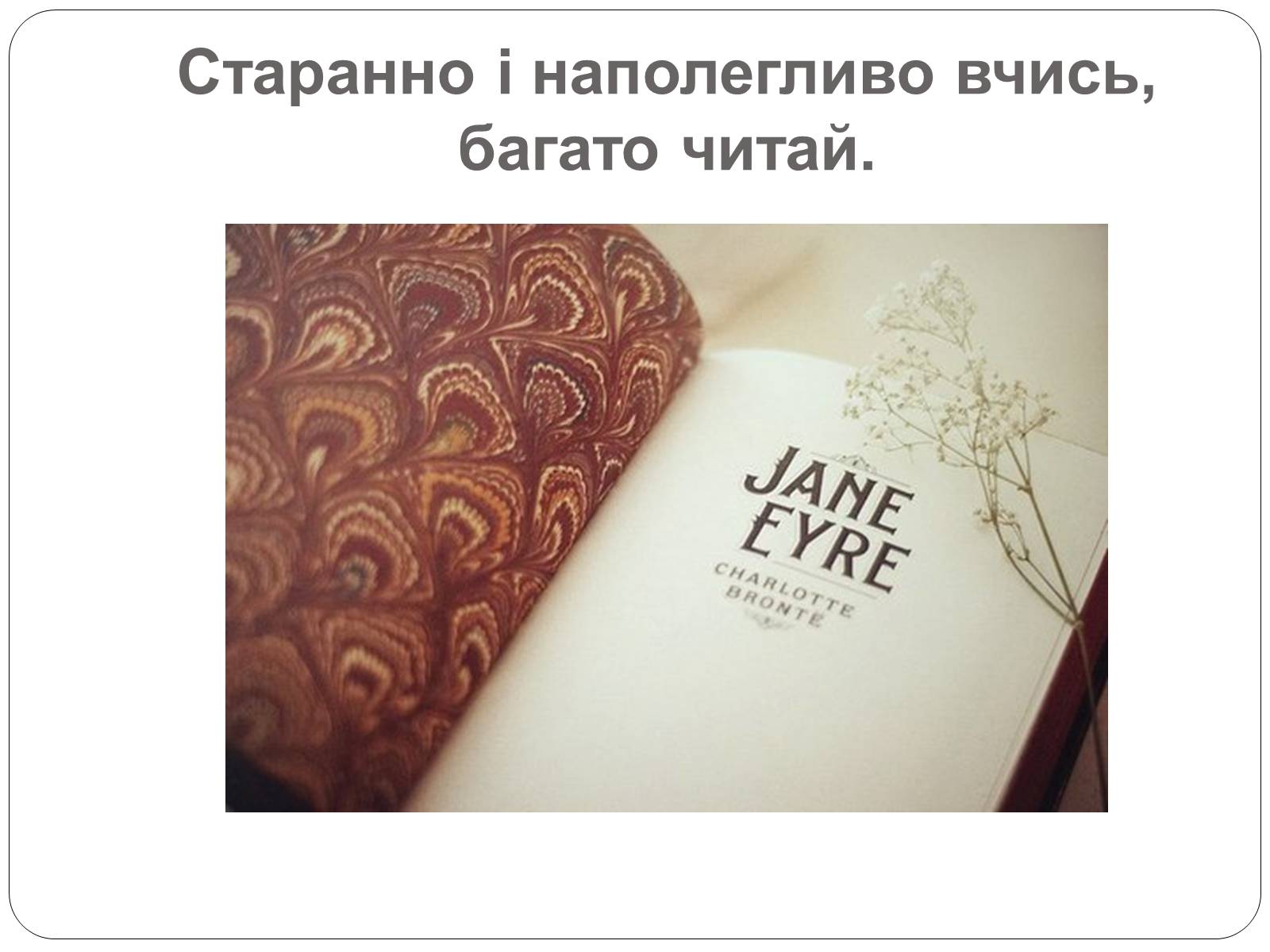 Презентація на тему «Правила поведінки» - Слайд #14 Презентація на тему «Правила поведінки» - Слайд #14