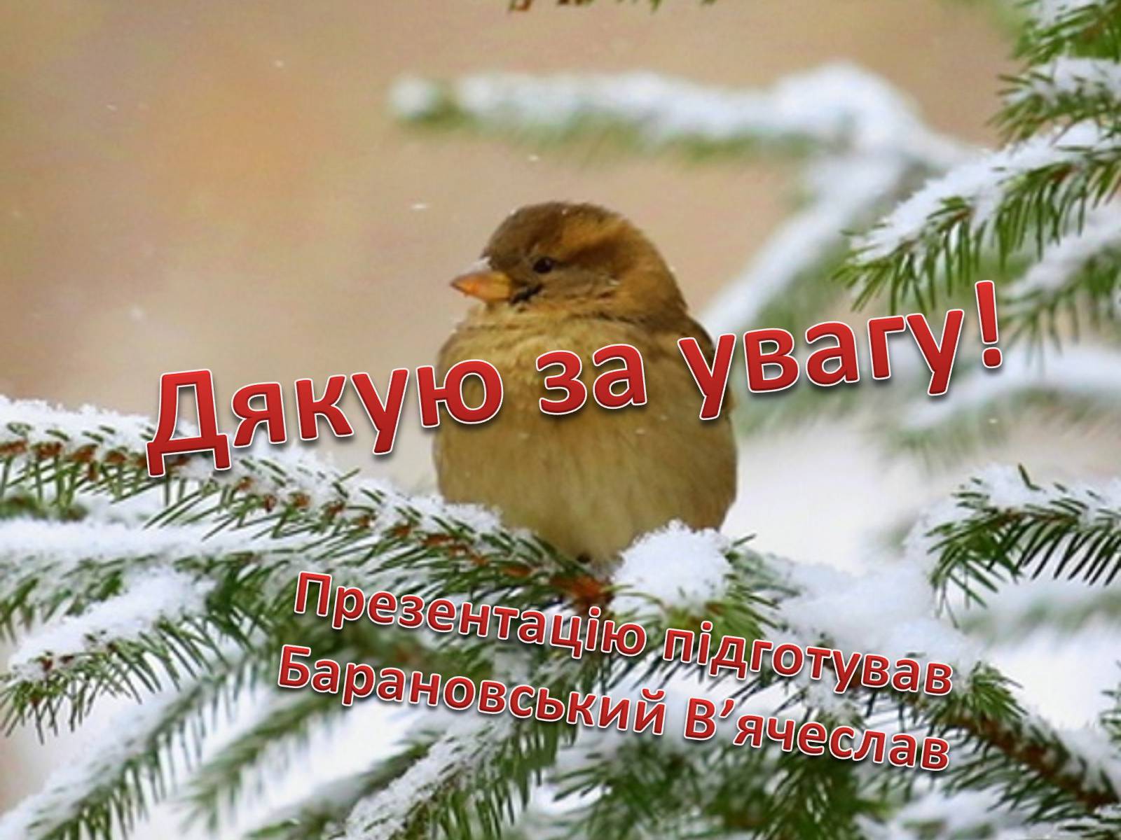 Презентація на тему «Годівнички для птахів» - Слайд #11 Презентація на тему «Годівнички для птахів» - Слайд #11