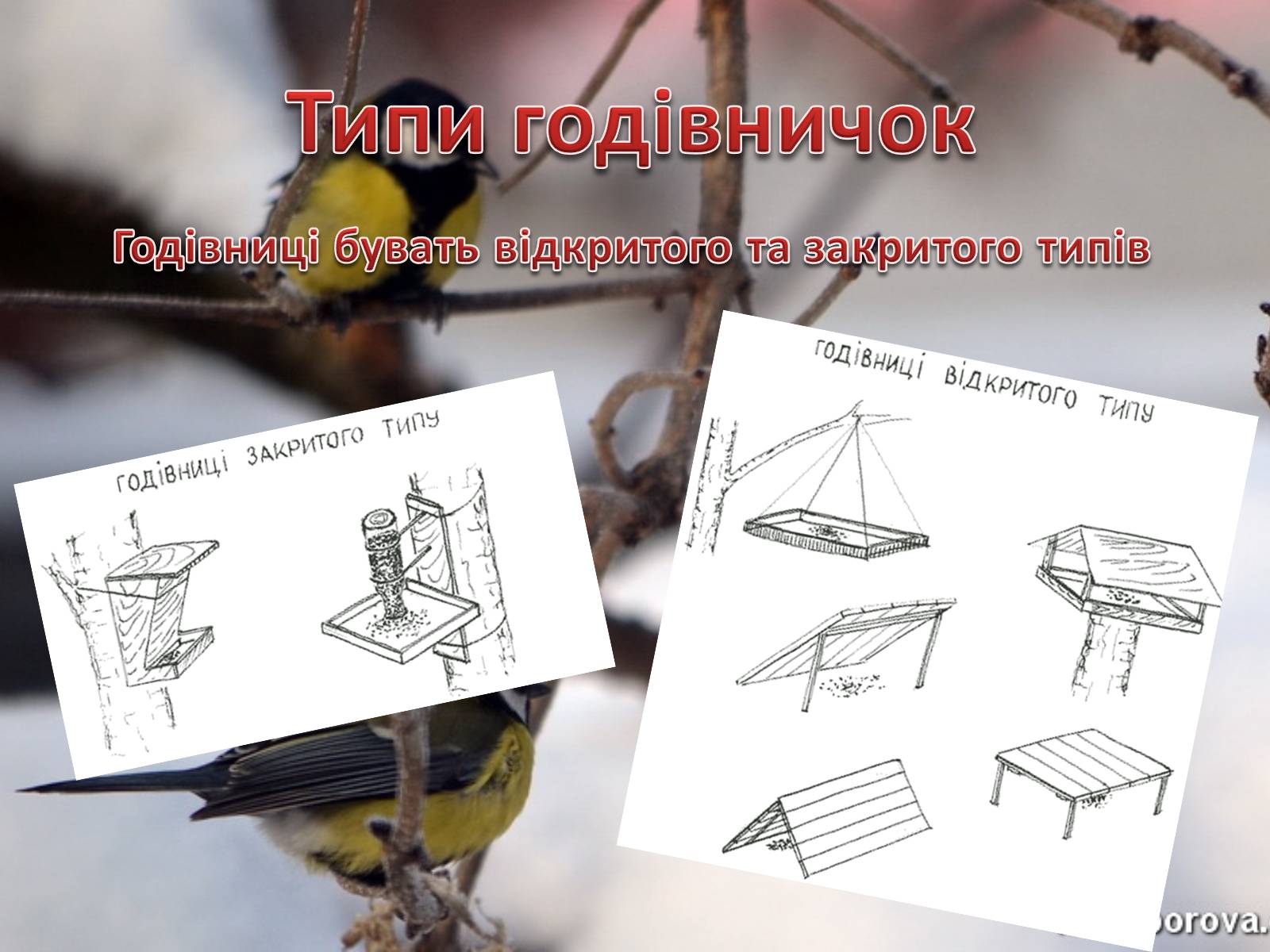 Презентація на тему «Годівнички для птахів» - Слайд #2 Презентація на тему «Годівнички для птахів» - Слайд #2