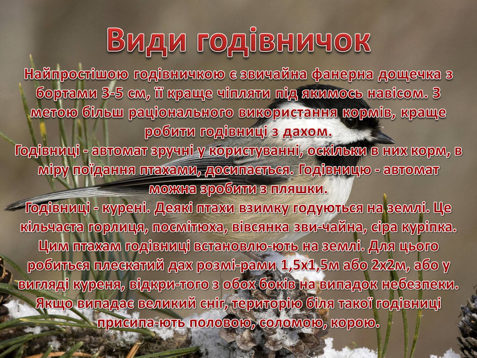 Презентація на тему «Годівнички для птахів» - Слайд #3 Презентація на тему «Годівнички для птахів» - Слайд #3