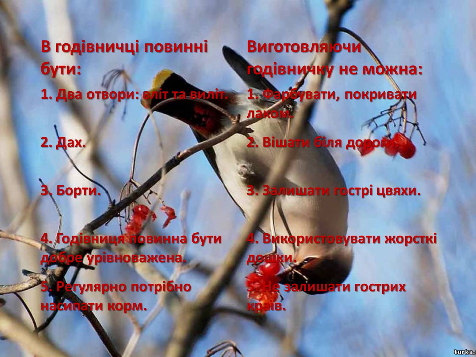 Презентація на тему «Годівнички для птахів» - Слайд #4 Презентація на тему «Годівнички для птахів» - Слайд #4