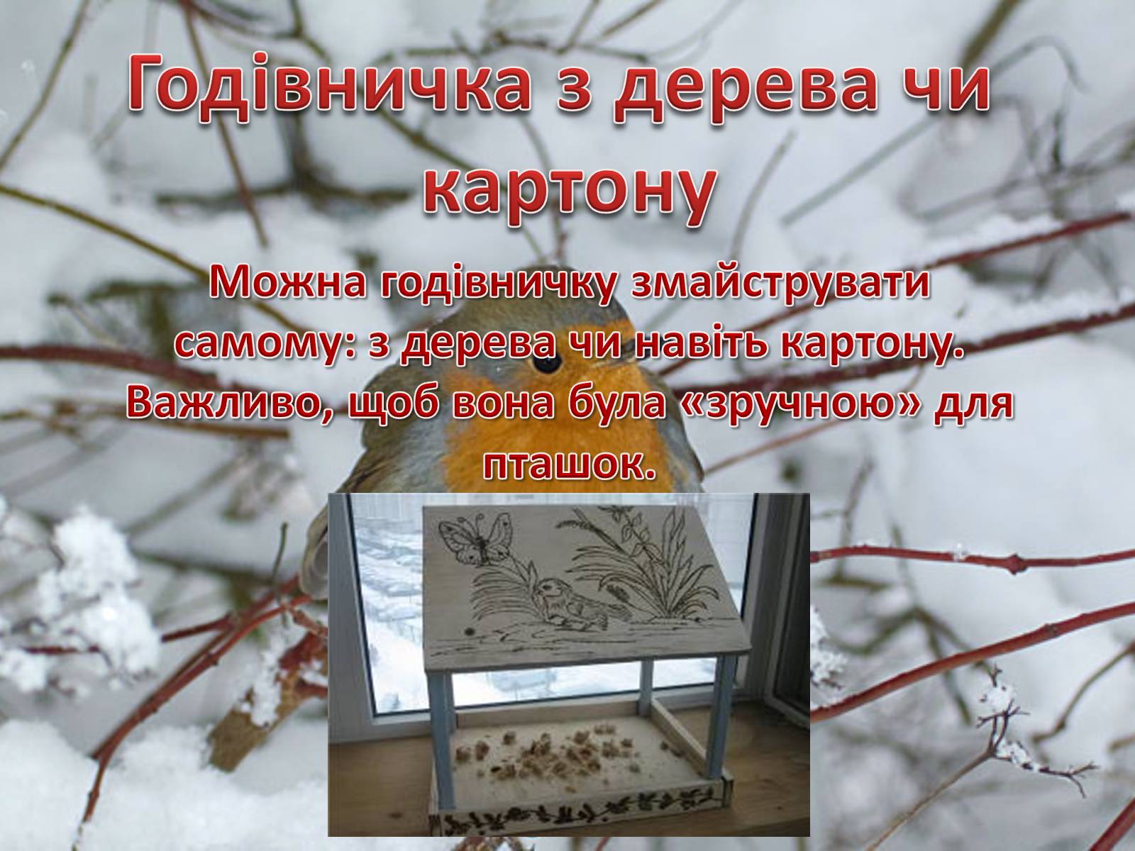 Презентація на тему «Годівнички для птахів» - Слайд #6 Презентація на тему «Годівнички для птахів» - Слайд #6