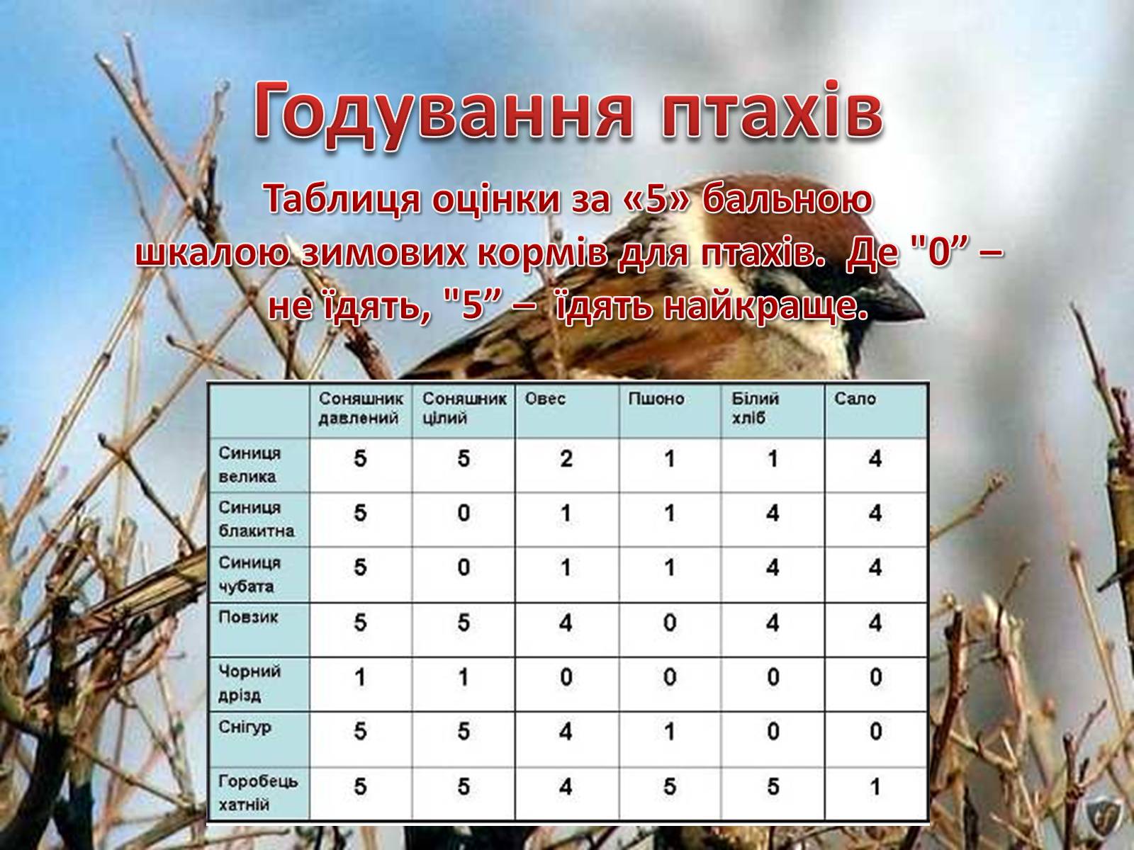 Презентація на тему «Годівнички для птахів» - Слайд #9 Презентація на тему «Годівнички для птахів» - Слайд #9