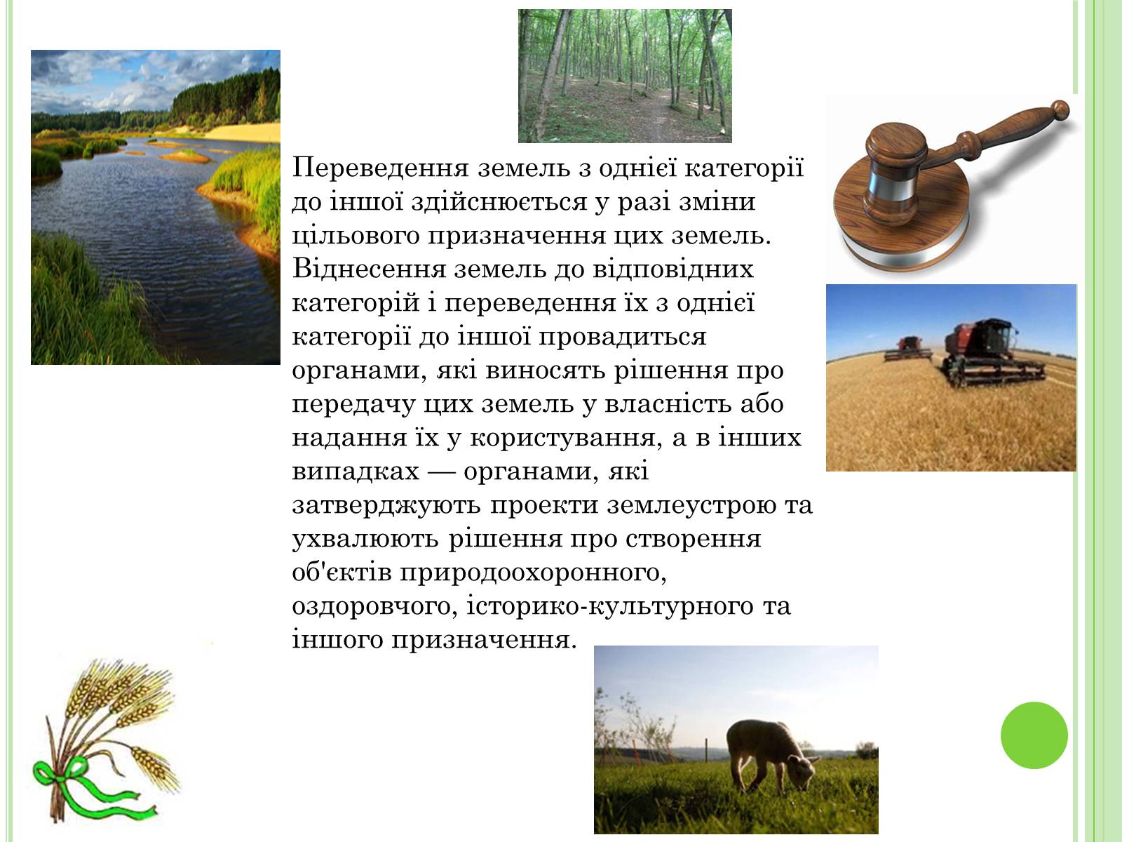 Презентація на тему «Земельне право» (варіант 2) - Слайд #7 Презентація на тему «Земельне право» (варіант 2) - Слайд #7