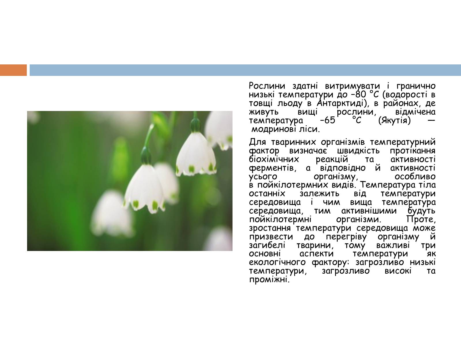 Презентація на тему «Екологічні фактори» (варіант 1) - Слайд #12 Презентація на тему «Екологічні фактори» (варіант 1) - Слайд #12