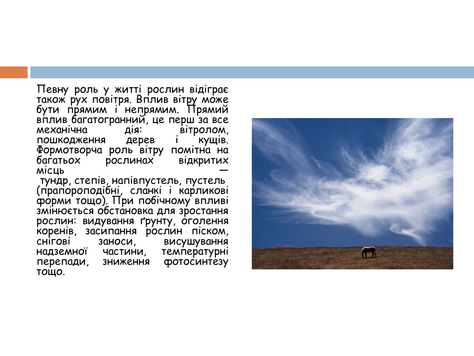Презентація на тему «Екологічні фактори» (варіант 1) - Слайд #17 Презентація на тему «Екологічні фактори» (варіант 1) - Слайд #17