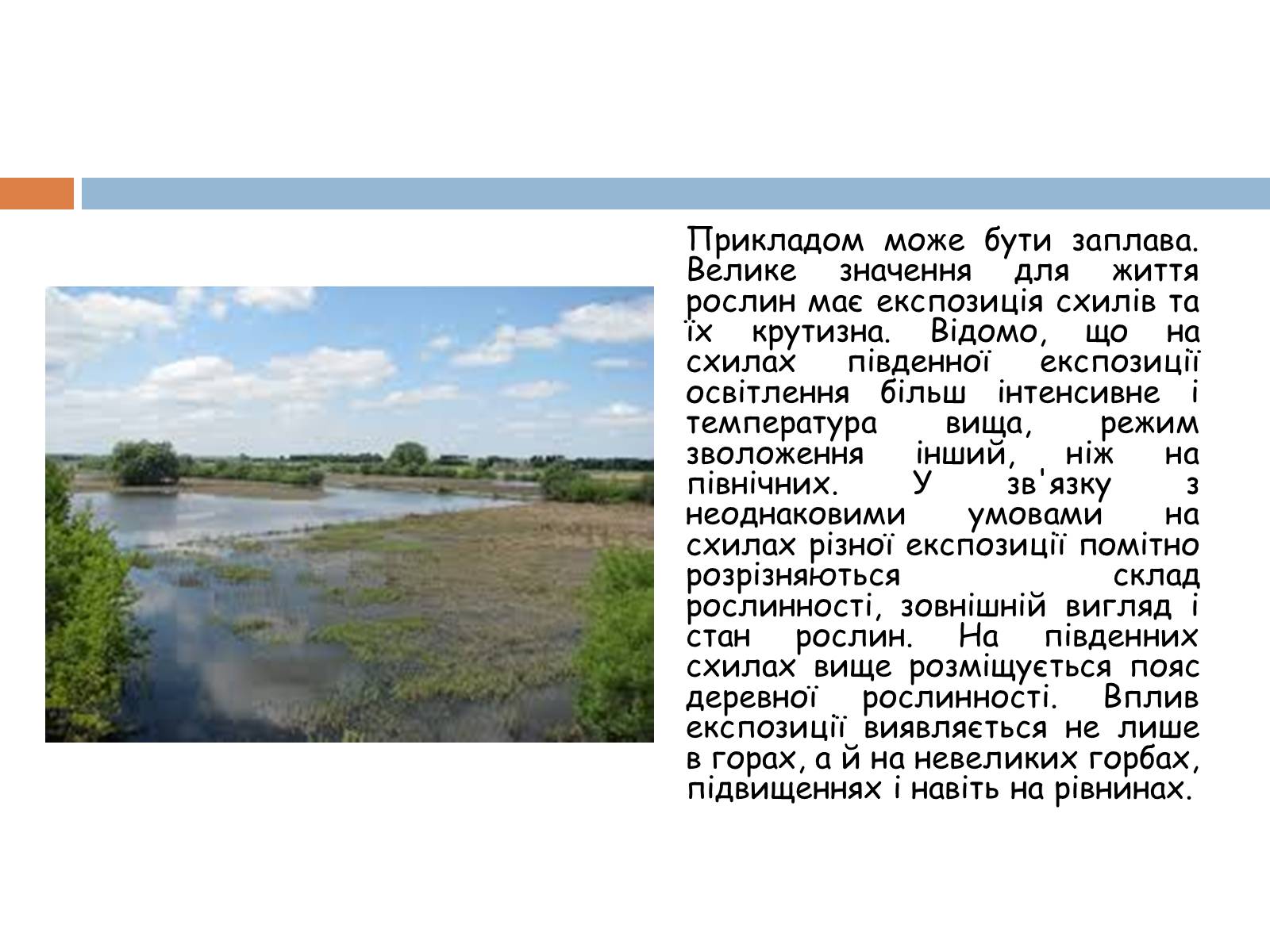 Презентація на тему «Екологічні фактори» (варіант 1) - Слайд #22 Презентація на тему «Екологічні фактори» (варіант 1) - Слайд #22