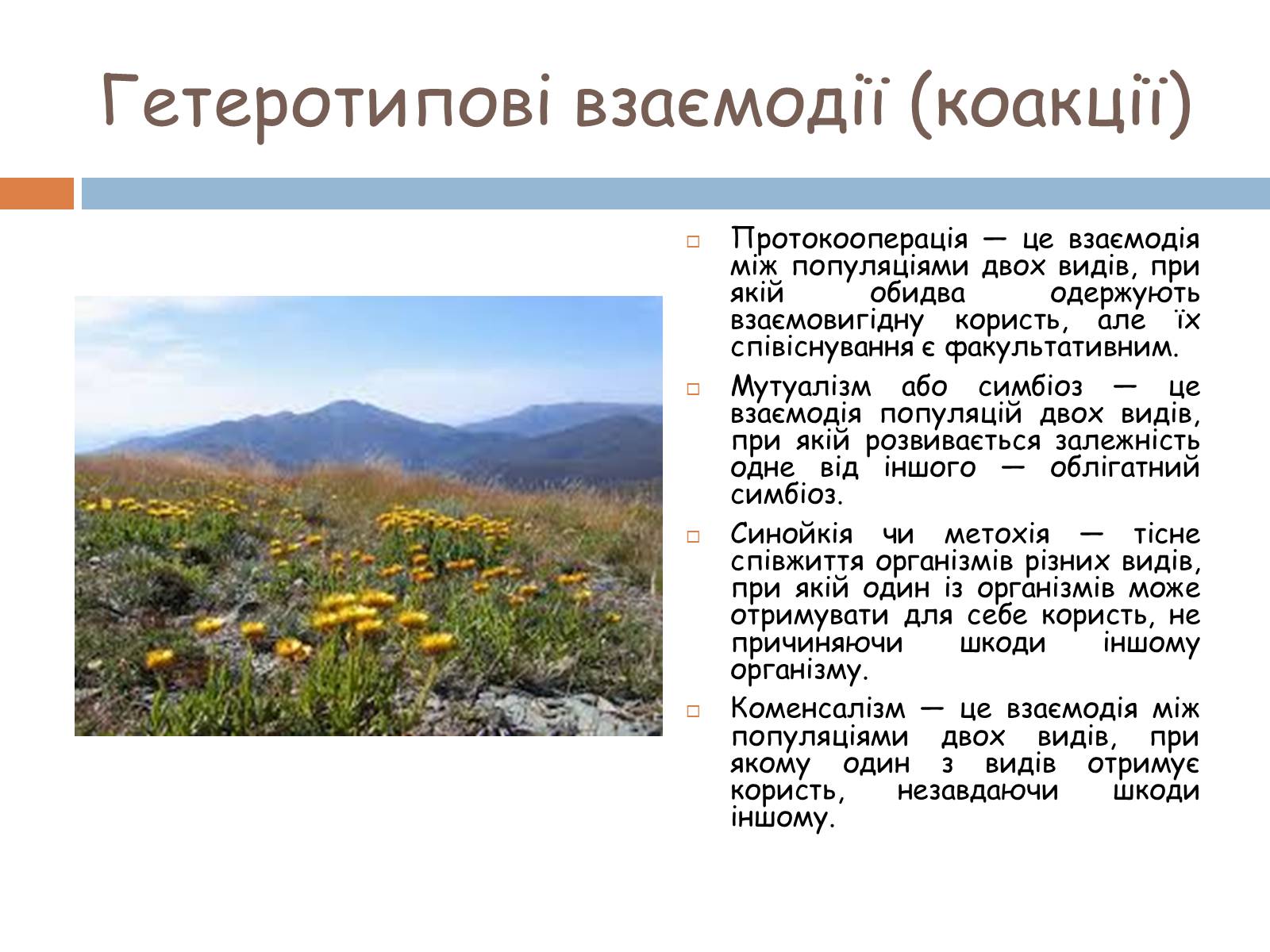Презентація на тему «Екологічні фактори» (варіант 1) - Слайд #27 Презентація на тему «Екологічні фактори» (варіант 1) - Слайд #27