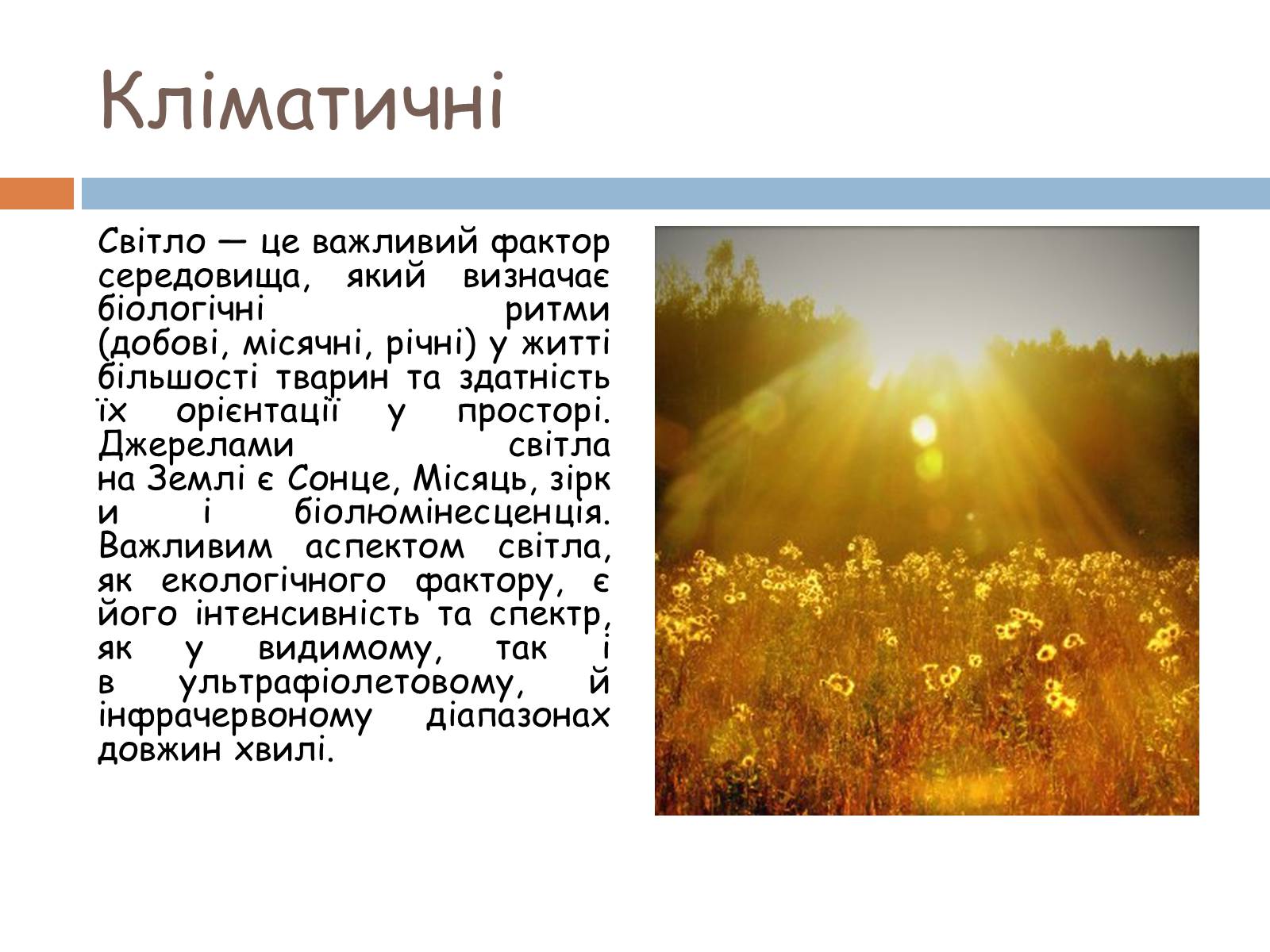 Презентація на тему «Екологічні фактори» (варіант 1) - Слайд #5 Презентація на тему «Екологічні фактори» (варіант 1) - Слайд #5