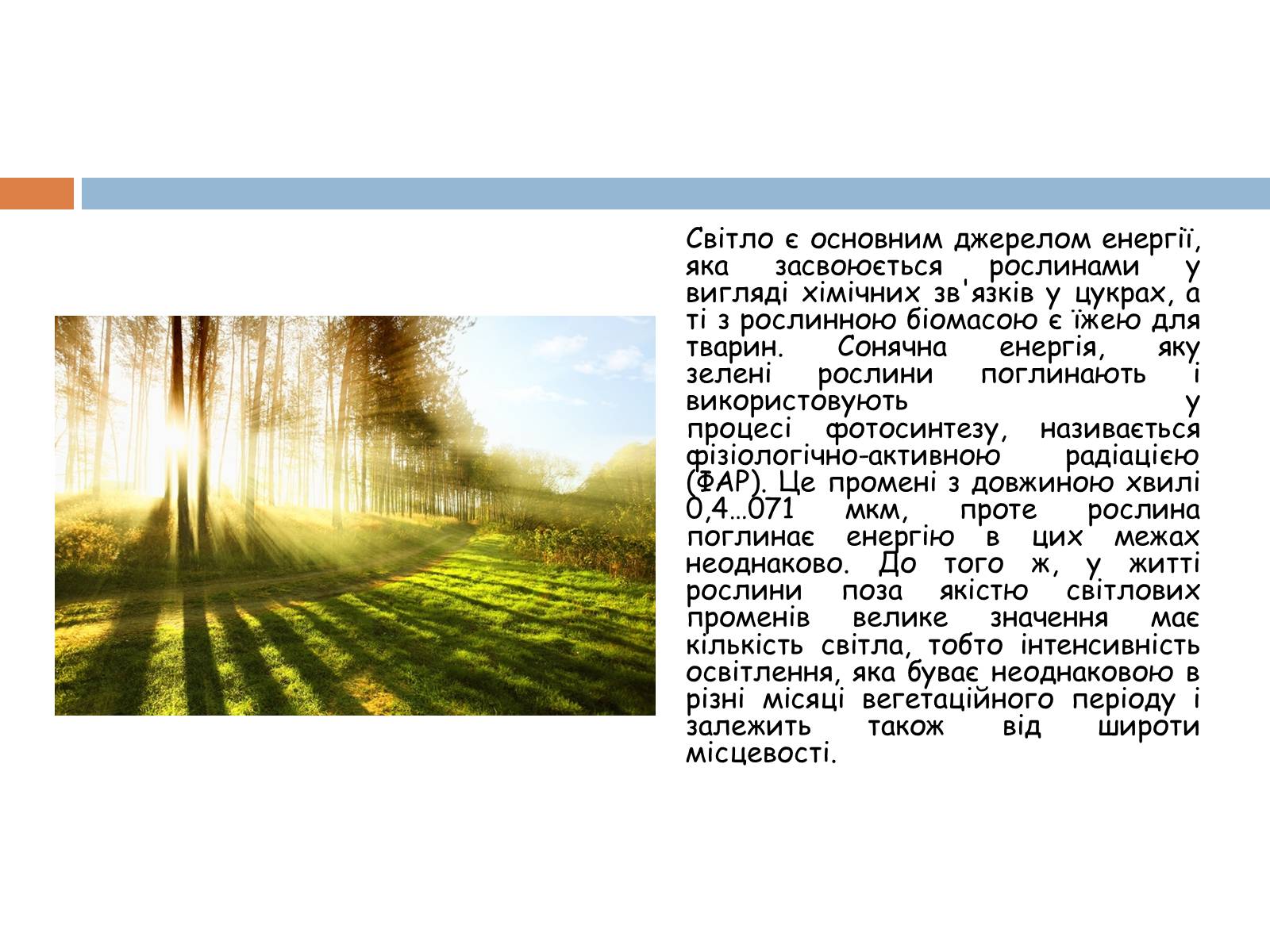 Презентація на тему «Екологічні фактори» (варіант 1) - Слайд #6 Презентація на тему «Екологічні фактори» (варіант 1) - Слайд #6