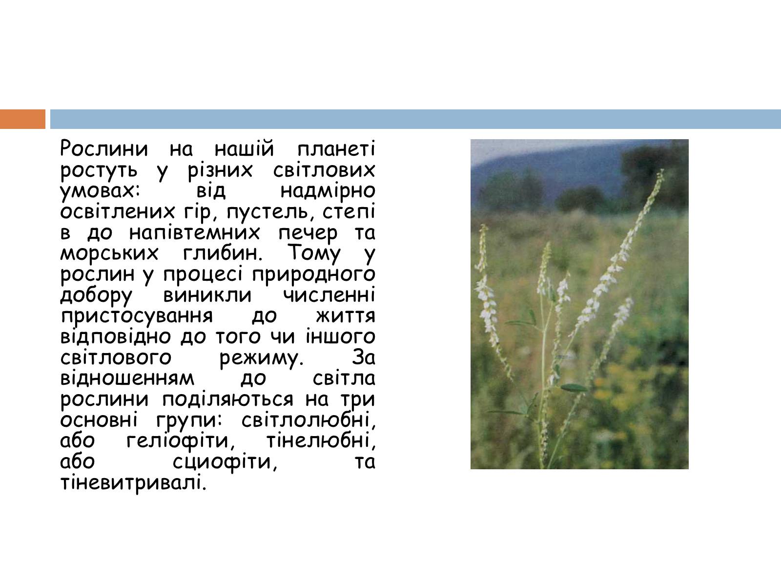 Презентація на тему «Екологічні фактори» (варіант 1) - Слайд #7 Презентація на тему «Екологічні фактори» (варіант 1) - Слайд #7