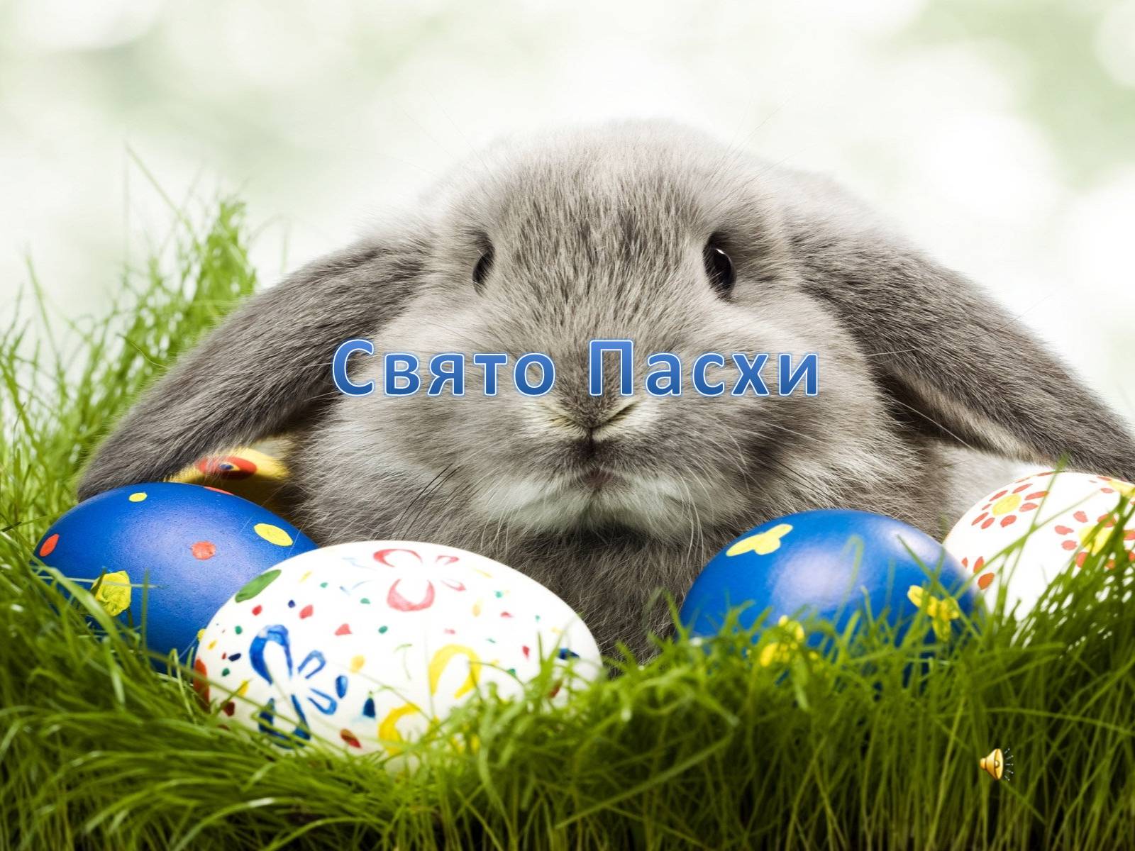 Презентація на тему «Свято Пасхи» - Слайд #1 Презентація на тему «Свято Пасхи» - Слайд #1