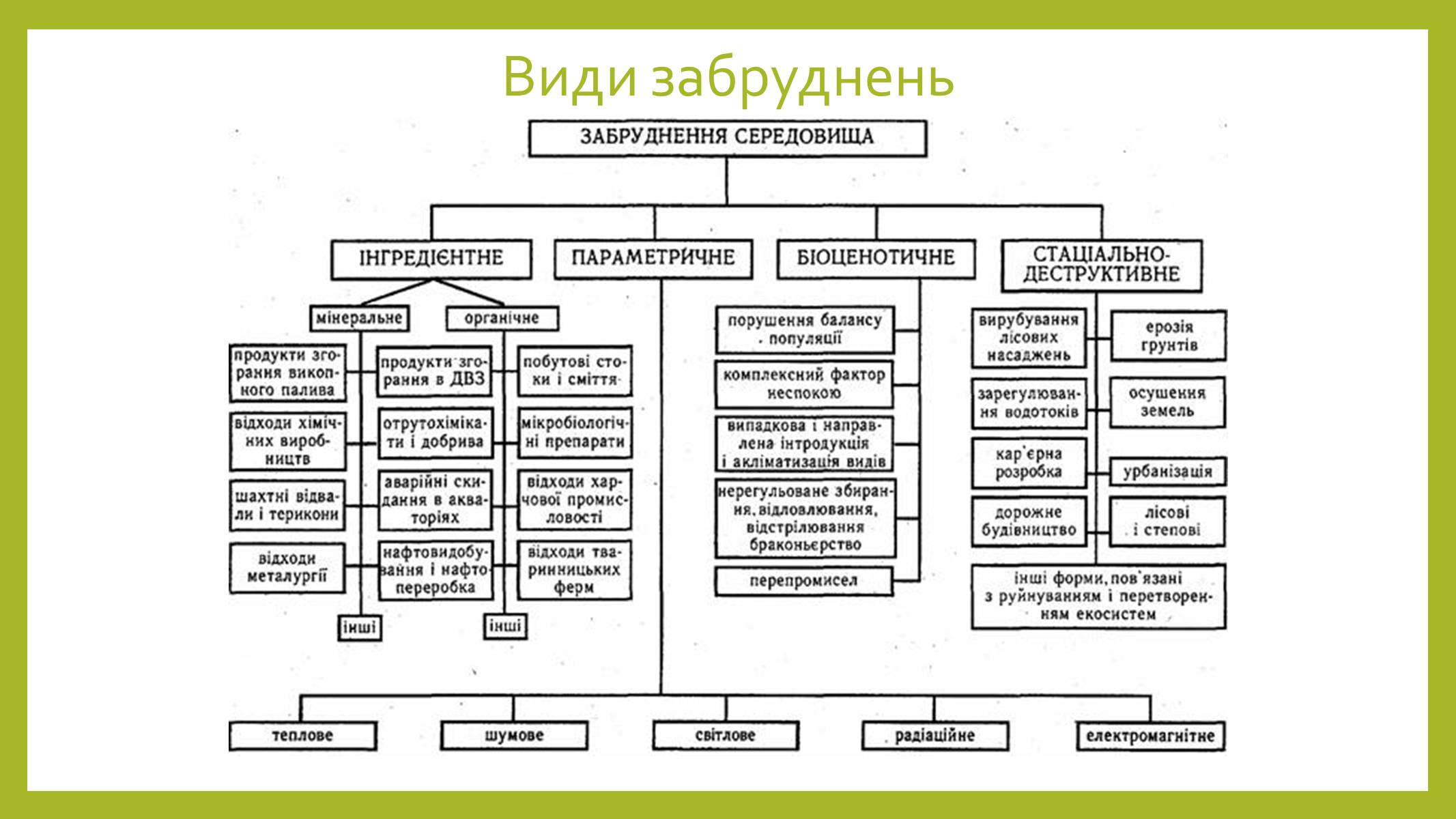 Презентація на тему «Моє довкілля – моє майбутнє» - Слайд #8 Презентація на тему «Моє довкілля – моє майбутнє» - Слайд #8
