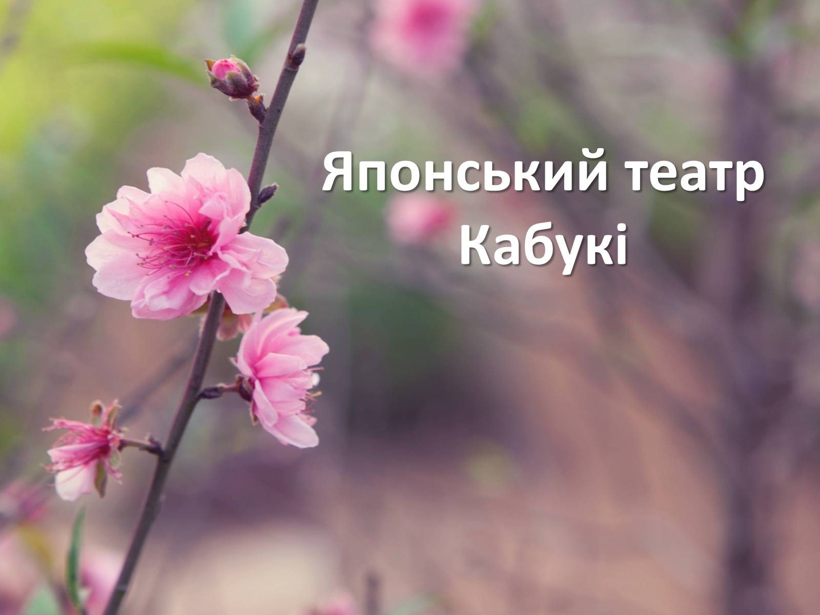 Презентація на тему «Японський театр Кабукі» - Слайд #1 Презентація на тему «Японський театр Кабукі» - Слайд #1