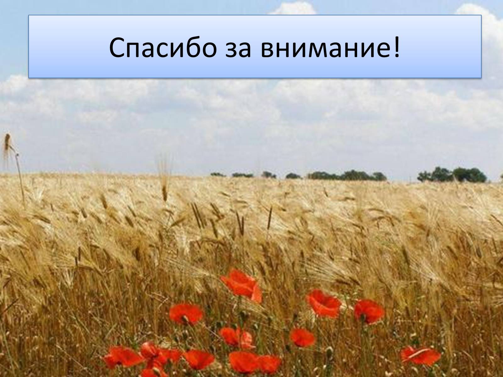 Презентація на тему «Национализм» - Слайд #16 Презентація на тему «Национализм» - Слайд #16