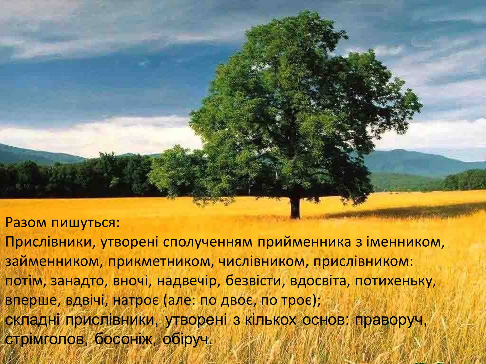 Презентація на тему «Прислівник самостійна незмінна частина мови» - Слайд #14 Презентація на тему «Прислівник самостійна незмінна частина мови» - Слайд #14