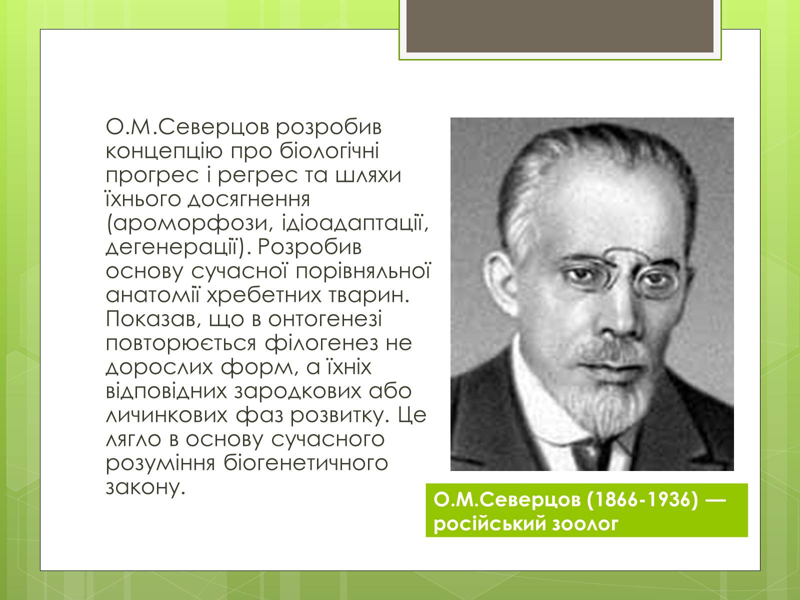 Презентація на тему «Синтетична теорія еволюції» (варіант 2) - Слайд #10 Презентація на тему «Синтетична теорія еволюції» (варіант 2) - Слайд #10