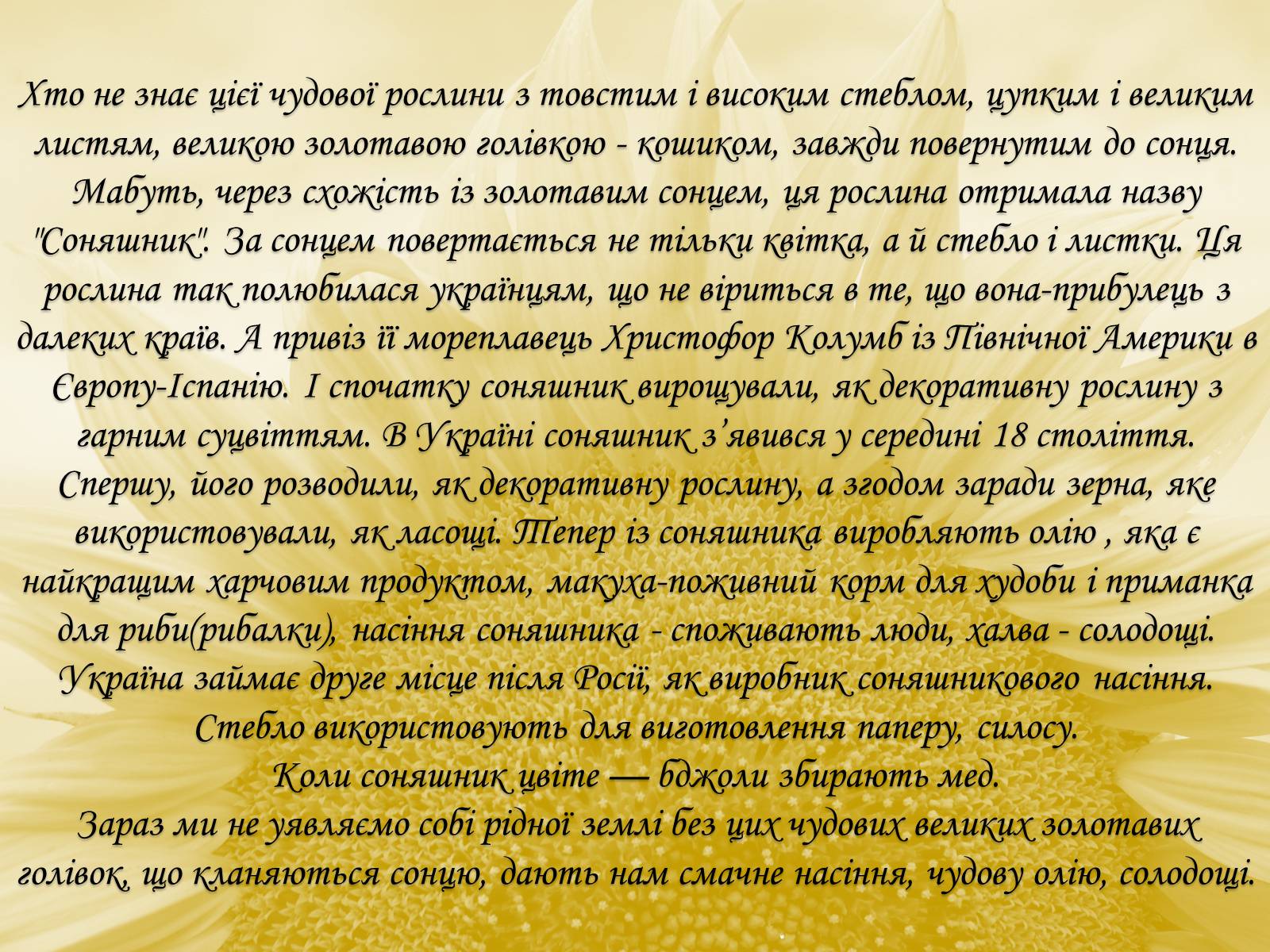 Презентація на тему «Соняшник – народний символ України!» - Слайд #4 Презентація на тему «Соняшник – народний символ України!» - Слайд #4