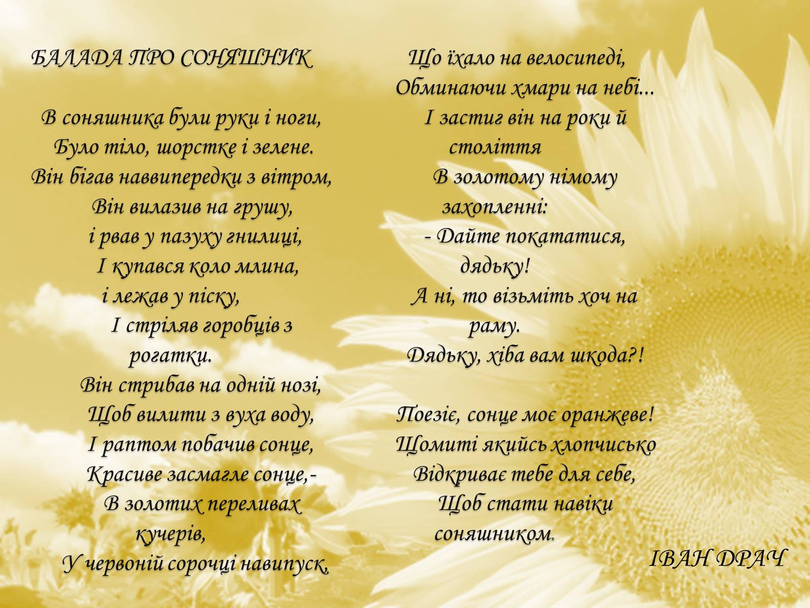 Презентація на тему «Соняшник – народний символ України!» - Слайд #9 Презентація на тему «Соняшник – народний символ України!» - Слайд #9