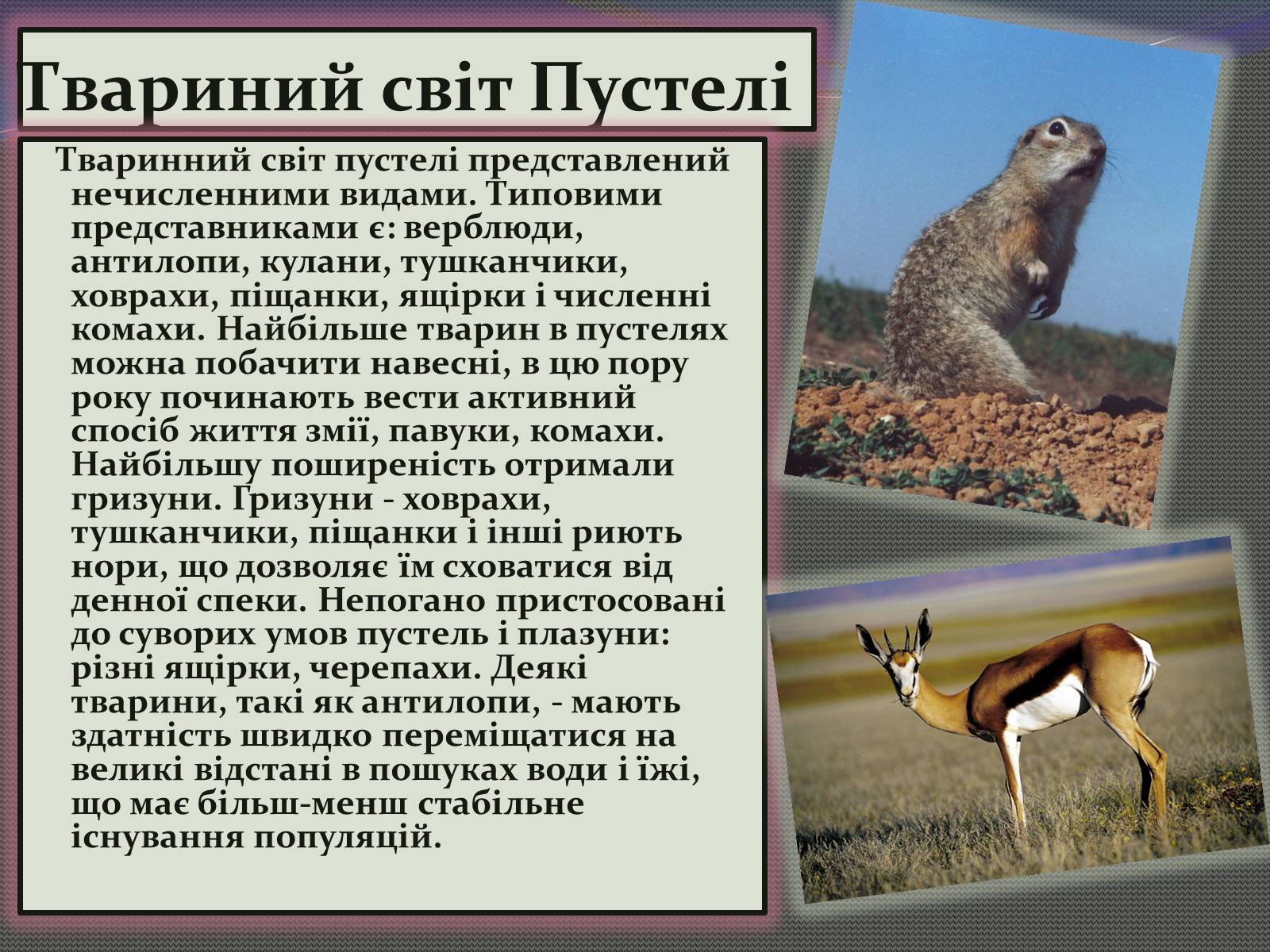 Презентація на тему «Пустеля» - Слайд #5 Презентація на тему «Пустеля» - Слайд #5