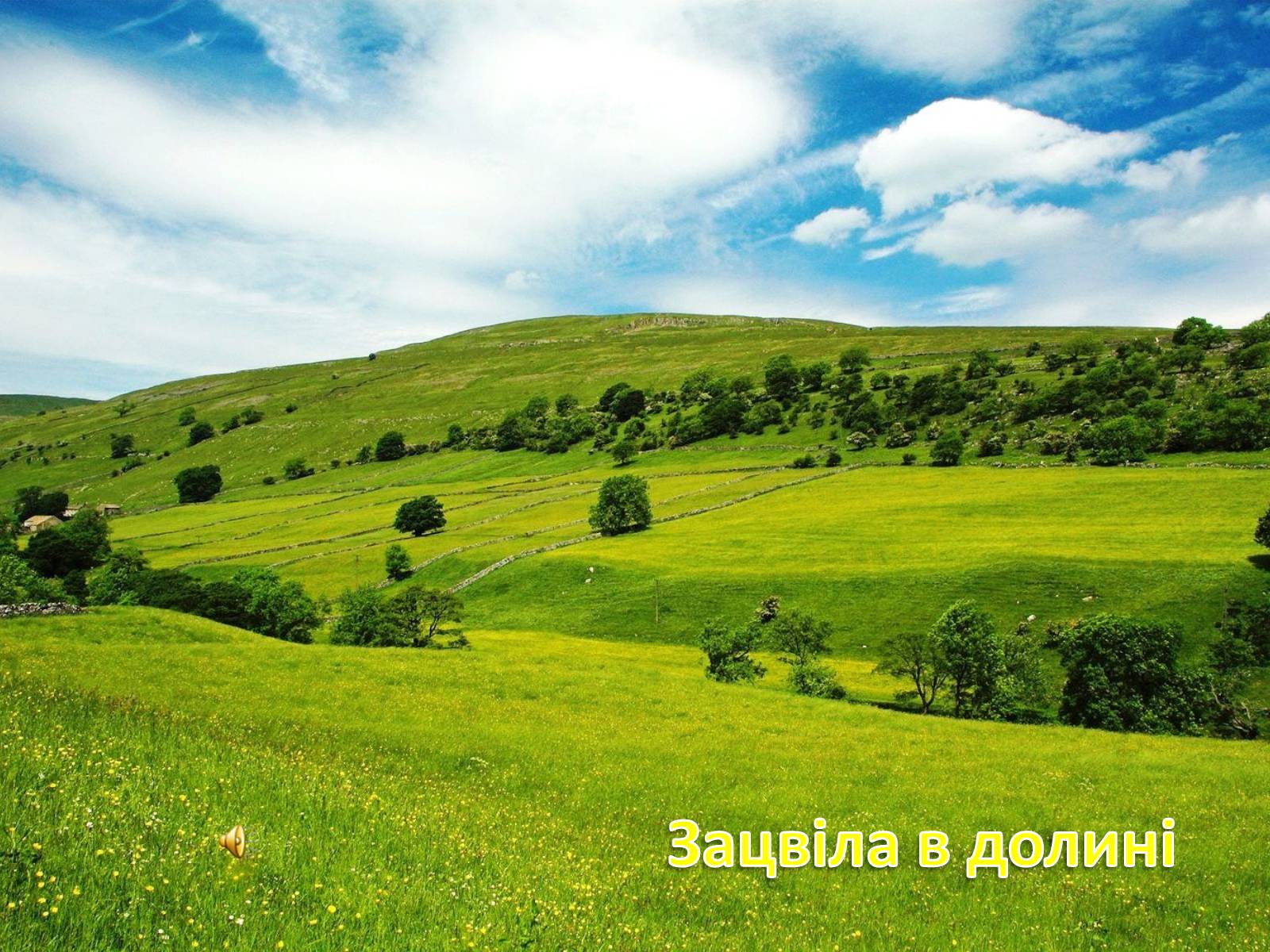 Презентація на тему «Зацвіла в долині...» - Слайд #1 Презентація на тему «Зацвіла в долині...» - Слайд #1