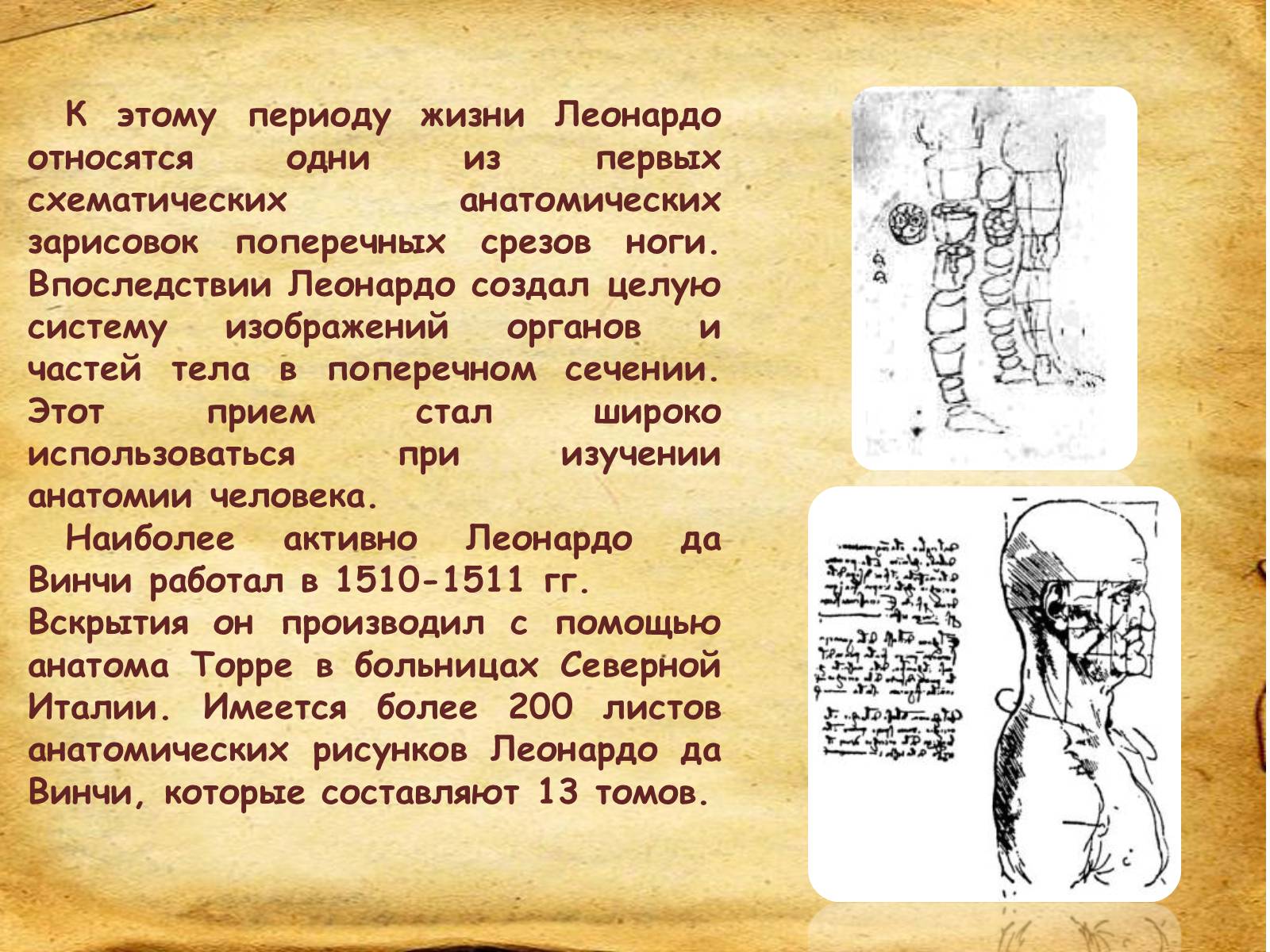 Презентація на тему «Leonardo da Vinci» (варіант 1) - Слайд #26 Презентація на тему «Leonardo da Vinci» (варіант 1) - Слайд #26