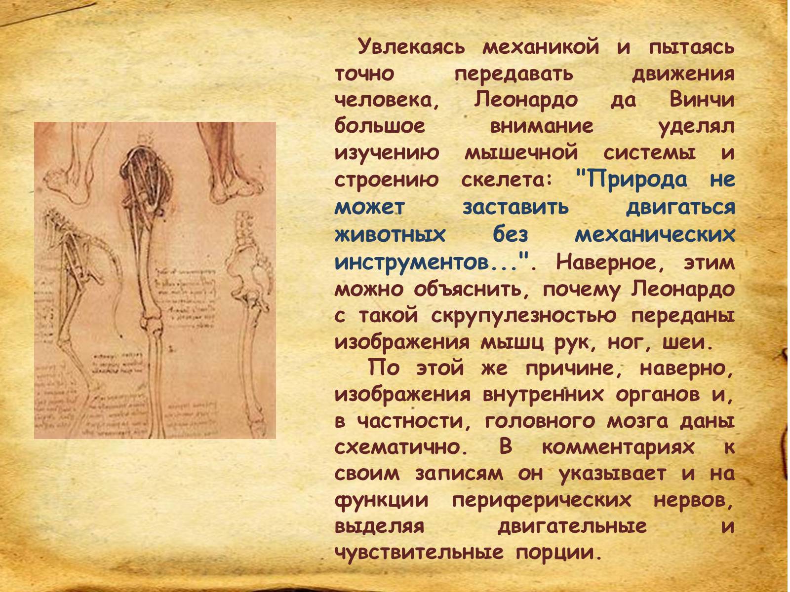 Презентація на тему «Leonardo da Vinci» (варіант 1) - Слайд #27 Презентація на тему «Leonardo da Vinci» (варіант 1) - Слайд #27