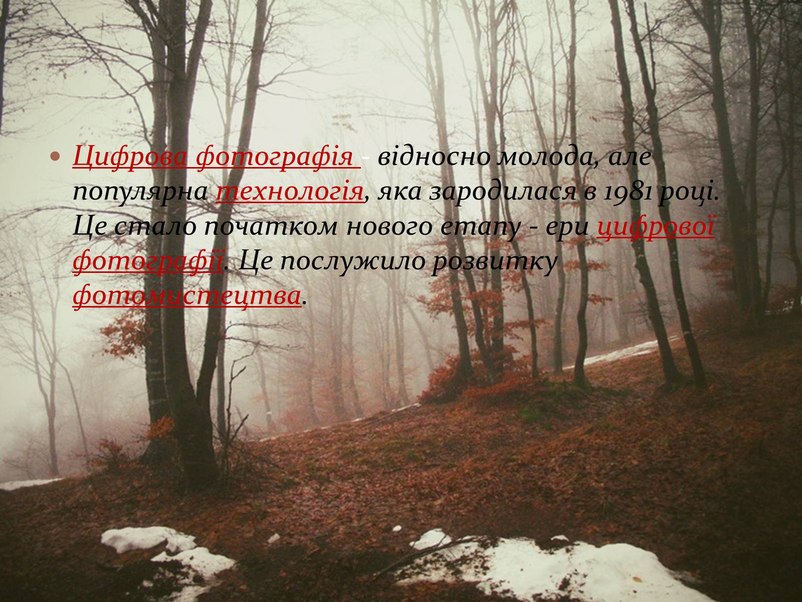 Презентація на тему «Моє захоплення : фотографія та фотомистецтво» - Слайд #14 Презентація на тему «Моє захоплення : фотографія та фотомистецтво» - Слайд #14