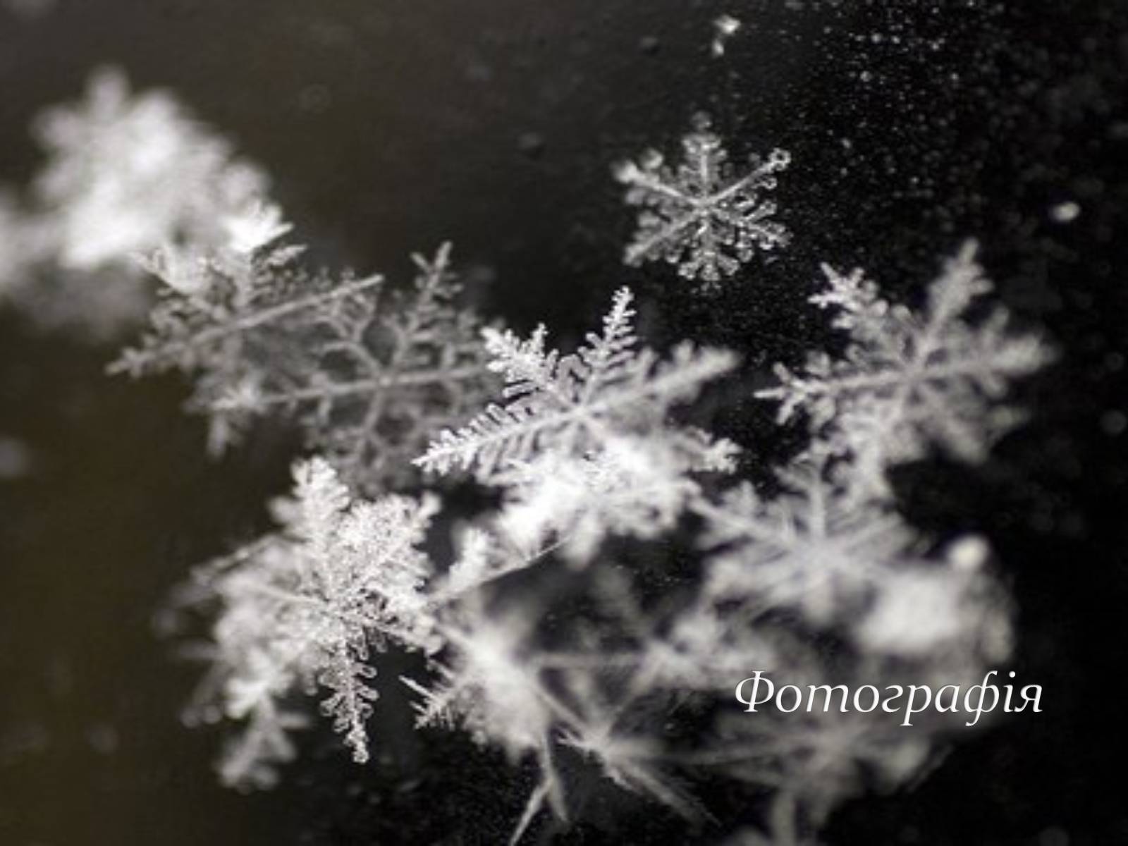 Презентація на тему «Моє захоплення : фотографія та фотомистецтво» - Слайд #2 Презентація на тему «Моє захоплення : фотографія та фотомистецтво» - Слайд #2