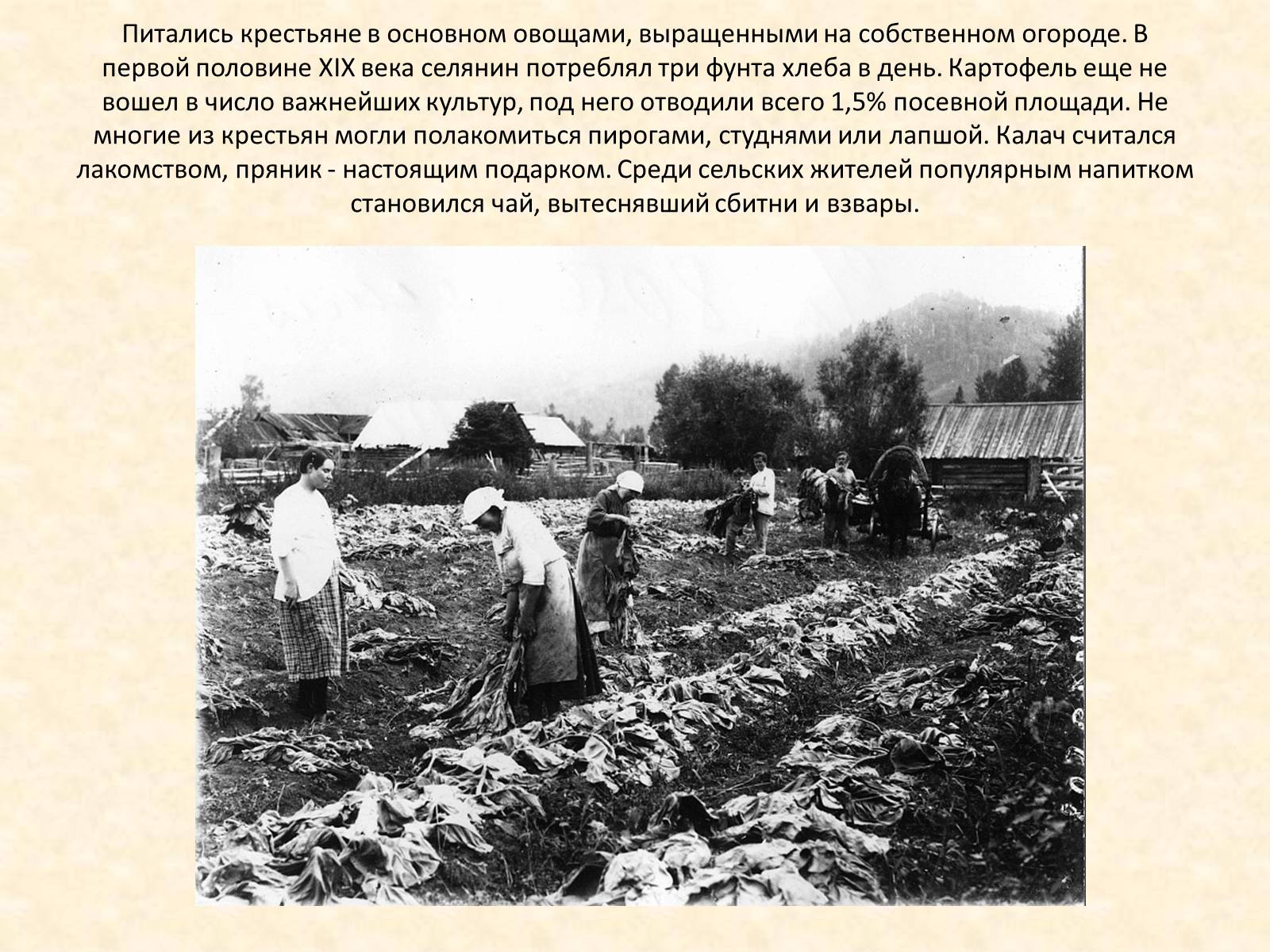 Презентація на тему «Повседневная жизнь россиян в 19 веке» - Слайд #16 Презентація на тему «Повседневная жизнь россиян в 19 веке» - Слайд #16