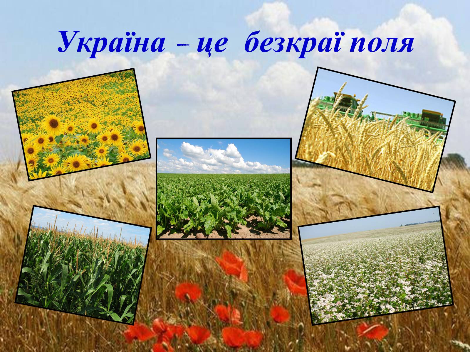 Презентація на тему «Твоя країна — Україна, і ти — її громадянин» - Слайд #14 Презентація на тему «Твоя країна — Україна, і ти — її громадянин» - Слайд #14