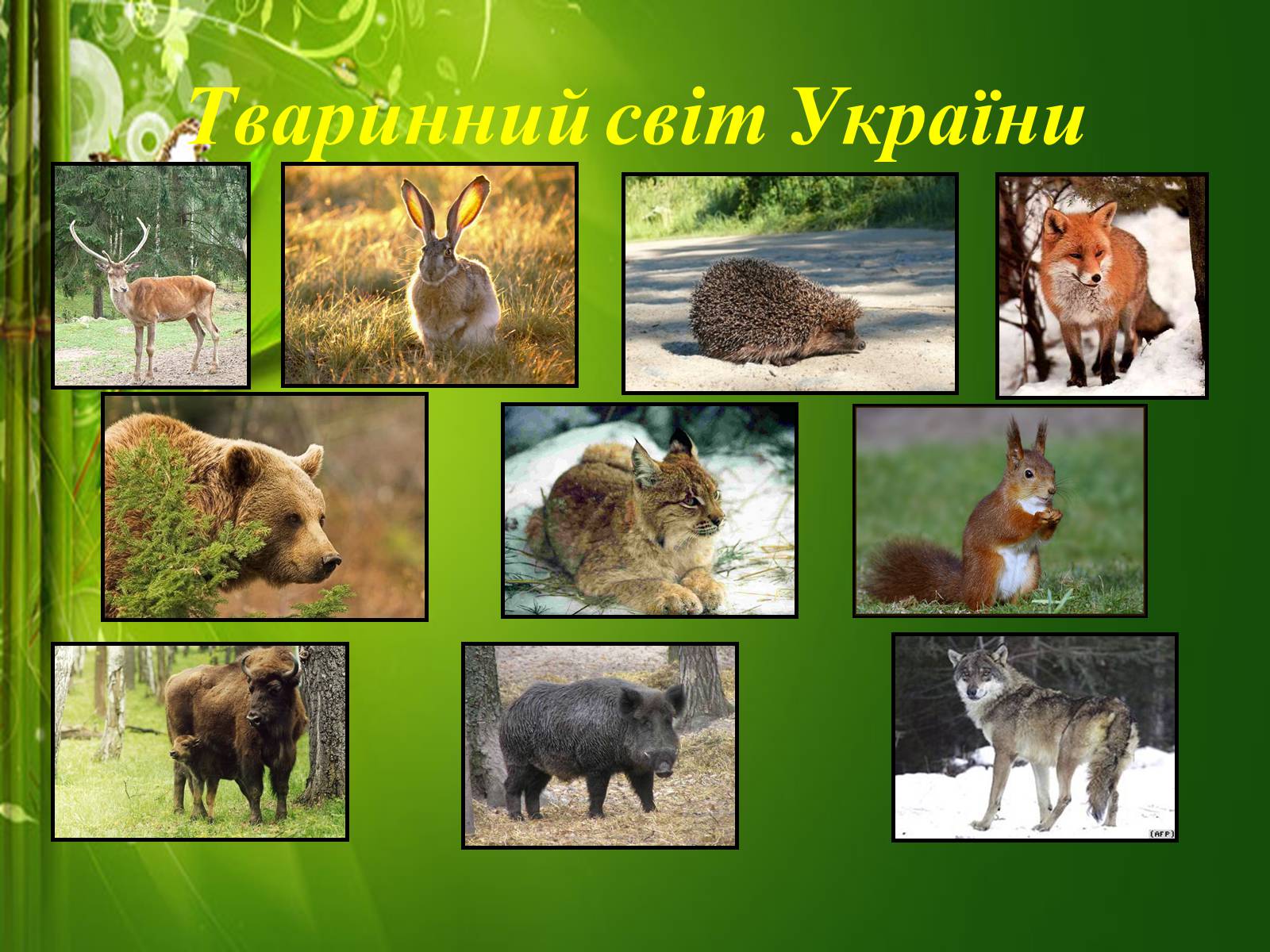 Презентація на тему «Твоя країна — Україна, і ти — її громадянин» - Слайд #22 Презентація на тему «Твоя країна — Україна, і ти — її громадянин» - Слайд #22