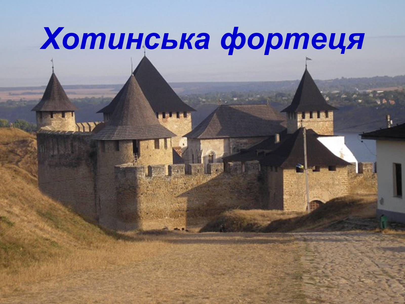 Презентація на тему «Твоя країна — Україна, і ти — її громадянин» - Слайд #8 Презентація на тему «Твоя країна — Україна, і ти — її громадянин» - Слайд #8