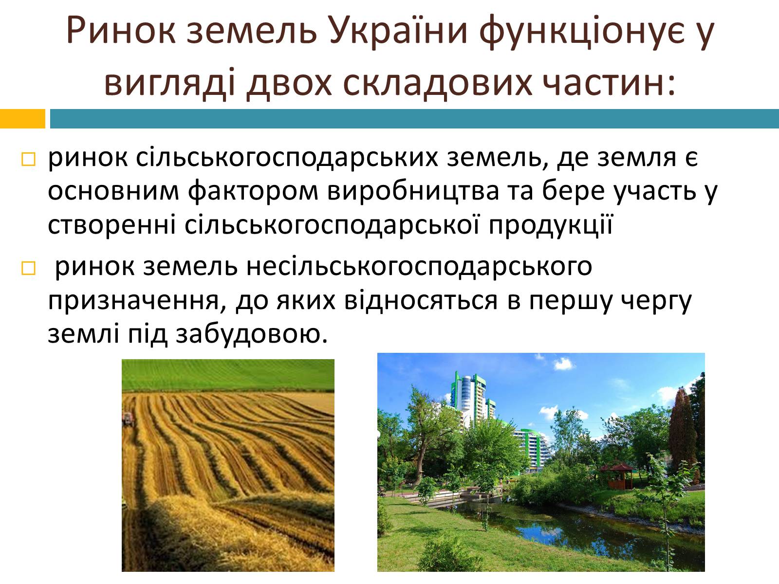 Презентація на тему «Ринок землі» (варіант 2) - Слайд #4 Презентація на тему «Ринок землі» (варіант 2) - Слайд #4