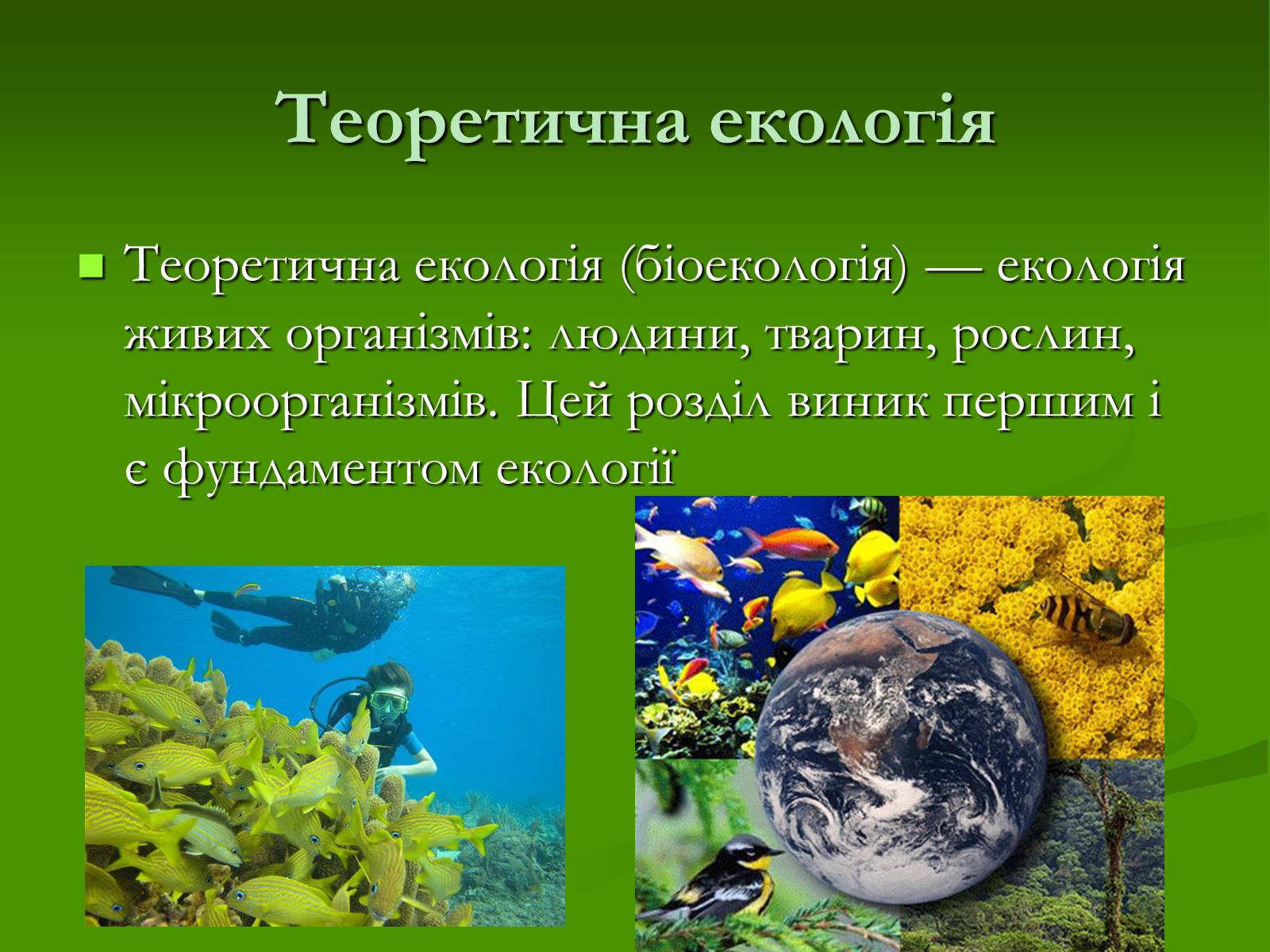 Презентація на тему «Структура сучасної екології та її місце в системі наук» (варіант 1) - Слайд #15 Презентація на тему «Структура сучасної екології та її місце в системі наук» (варіант 1) - Слайд #15