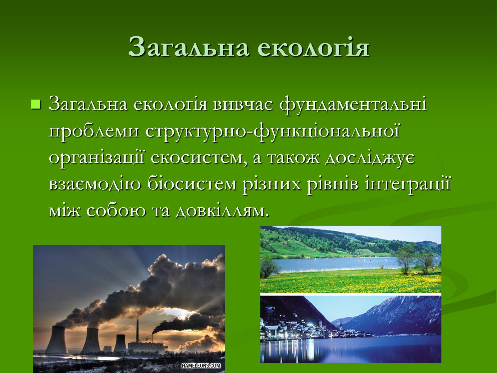 Презентація на тему «Структура сучасної екології та її місце в системі наук» (варіант 1) - Слайд #6 Презентація на тему «Структура сучасної екології та її місце в системі наук» (варіант 1) - Слайд #6