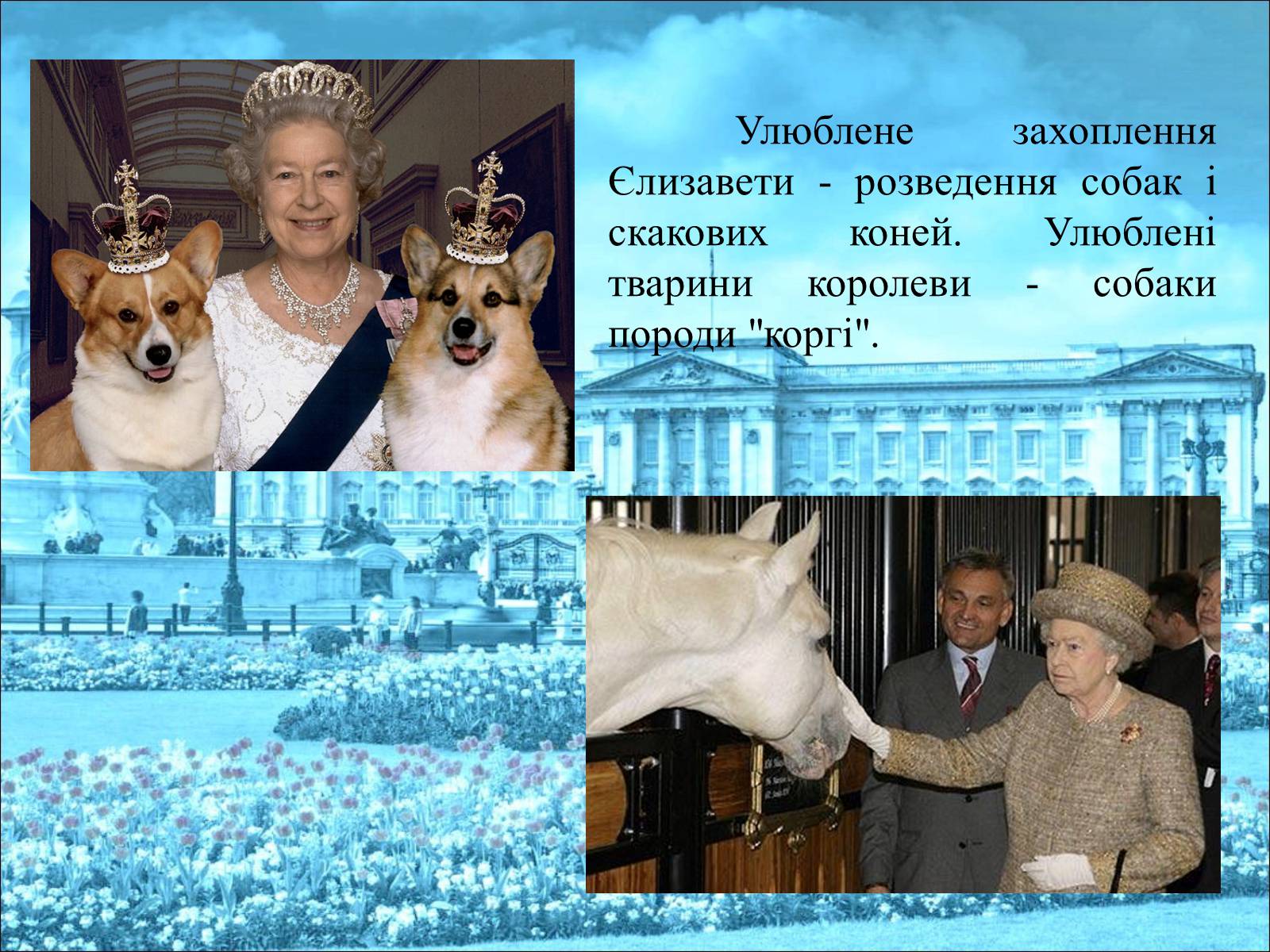 Презентація на тему «Королева Єлизавета II» - Слайд #28 Презентація на тему «Королева Єлизавета II» - Слайд #28