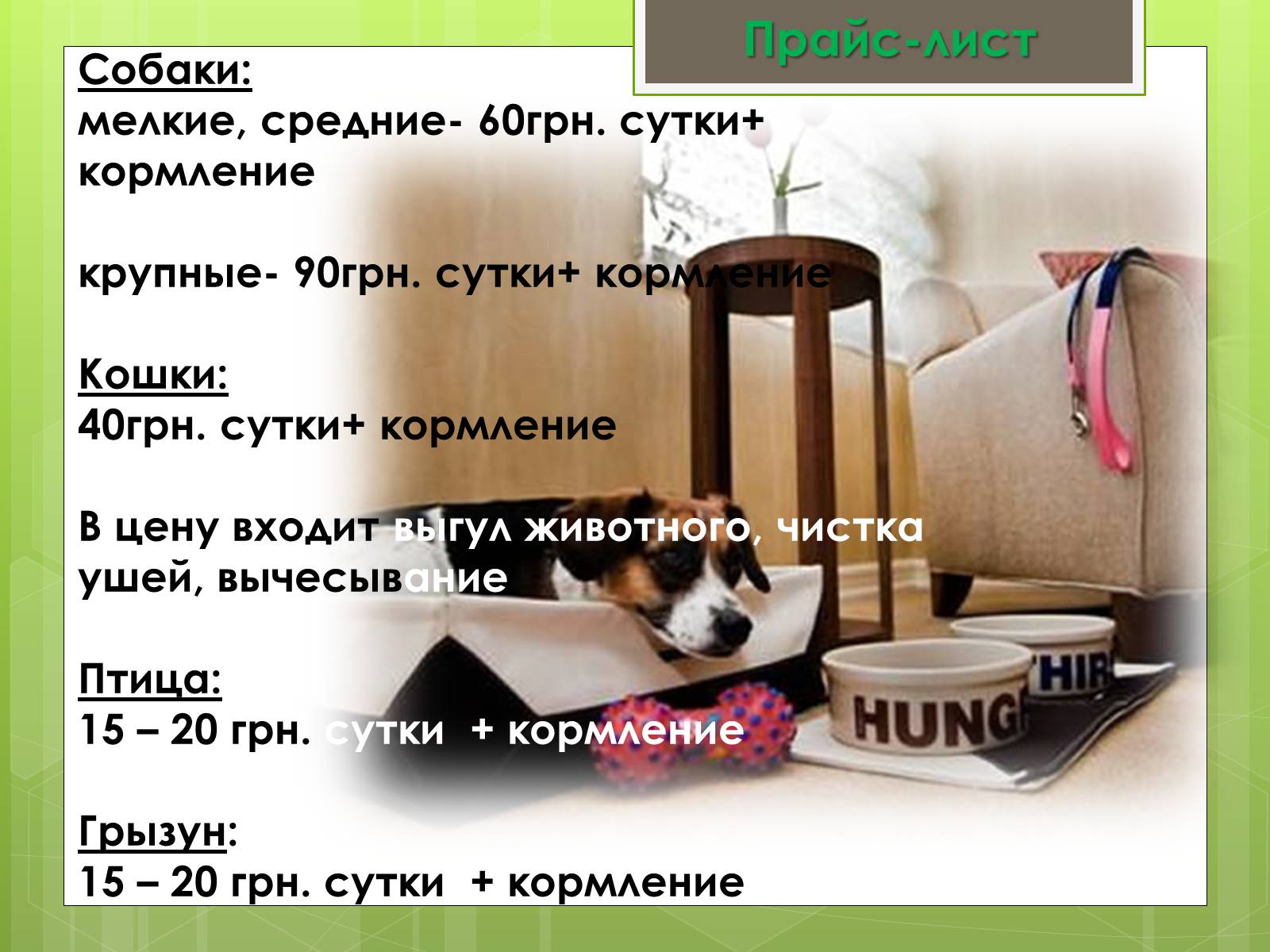 Презентація на тему «Бизнес-план гостиницы для животных» - Слайд #7 Презентація на тему «Бизнес-план гостиницы для животных» - Слайд #7