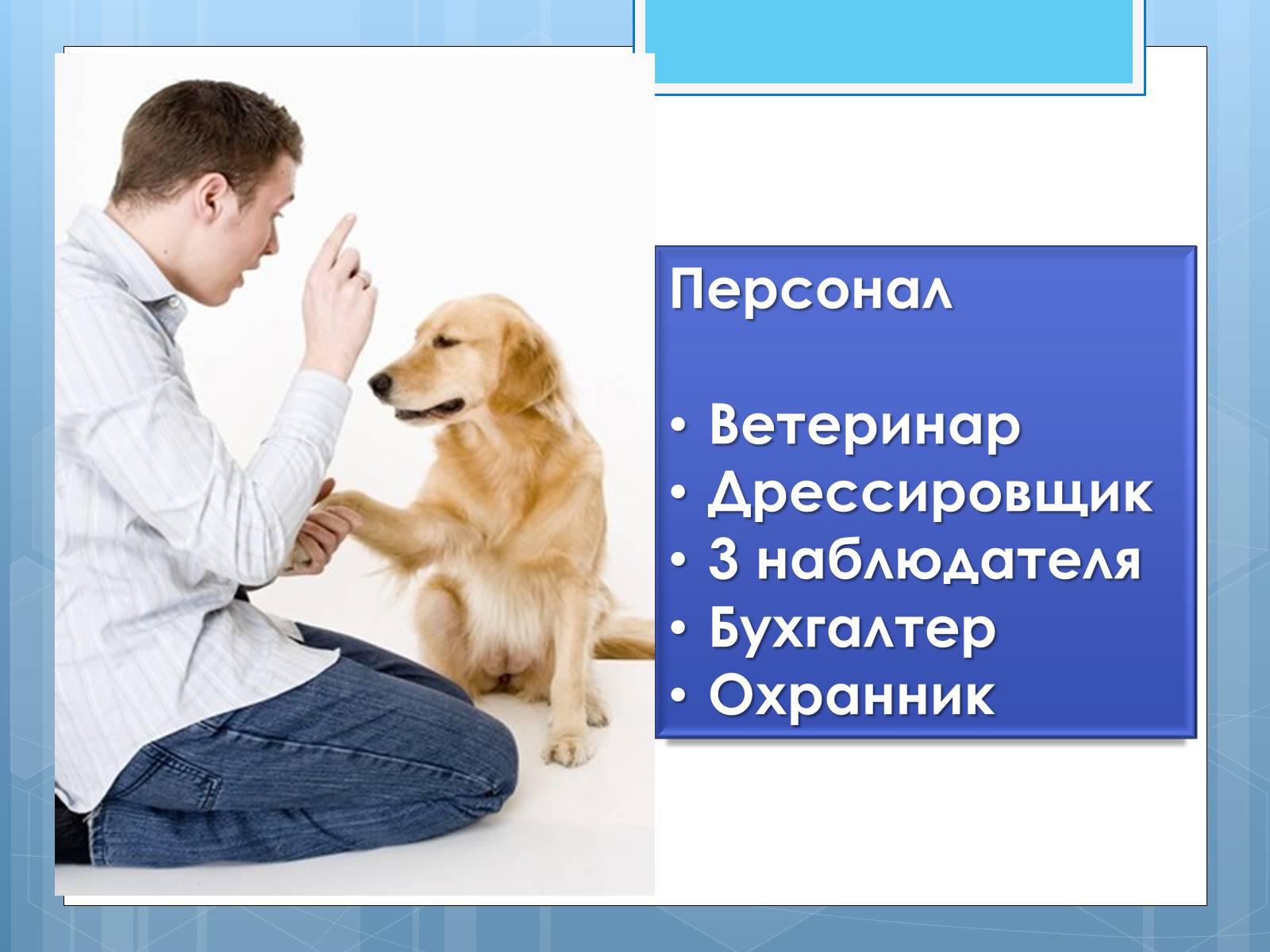 Презентація на тему «Бизнес-план гостиницы для животных» - Слайд #9 Презентація на тему «Бизнес-план гостиницы для животных» - Слайд #9