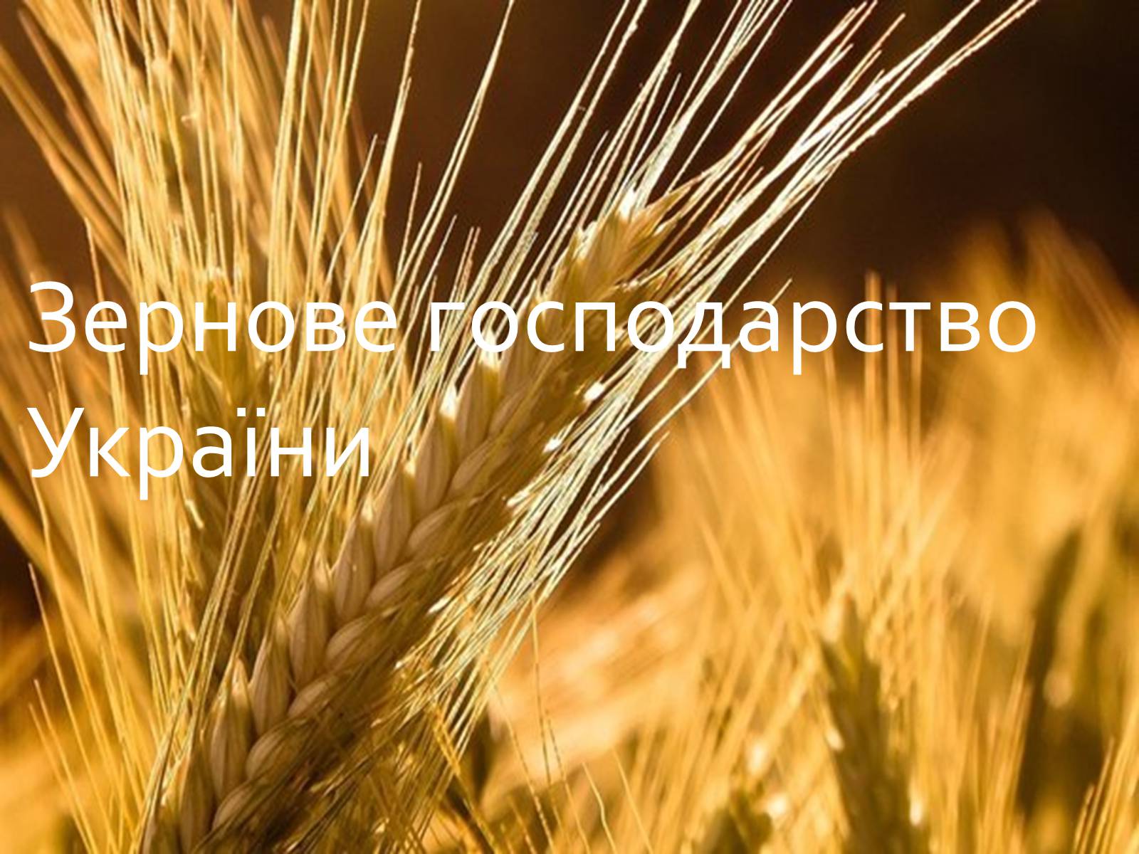 Презентація на тему «Зернове господарство України» - Слайд #1 Презентація на тему «Зернове господарство України» - Слайд #1