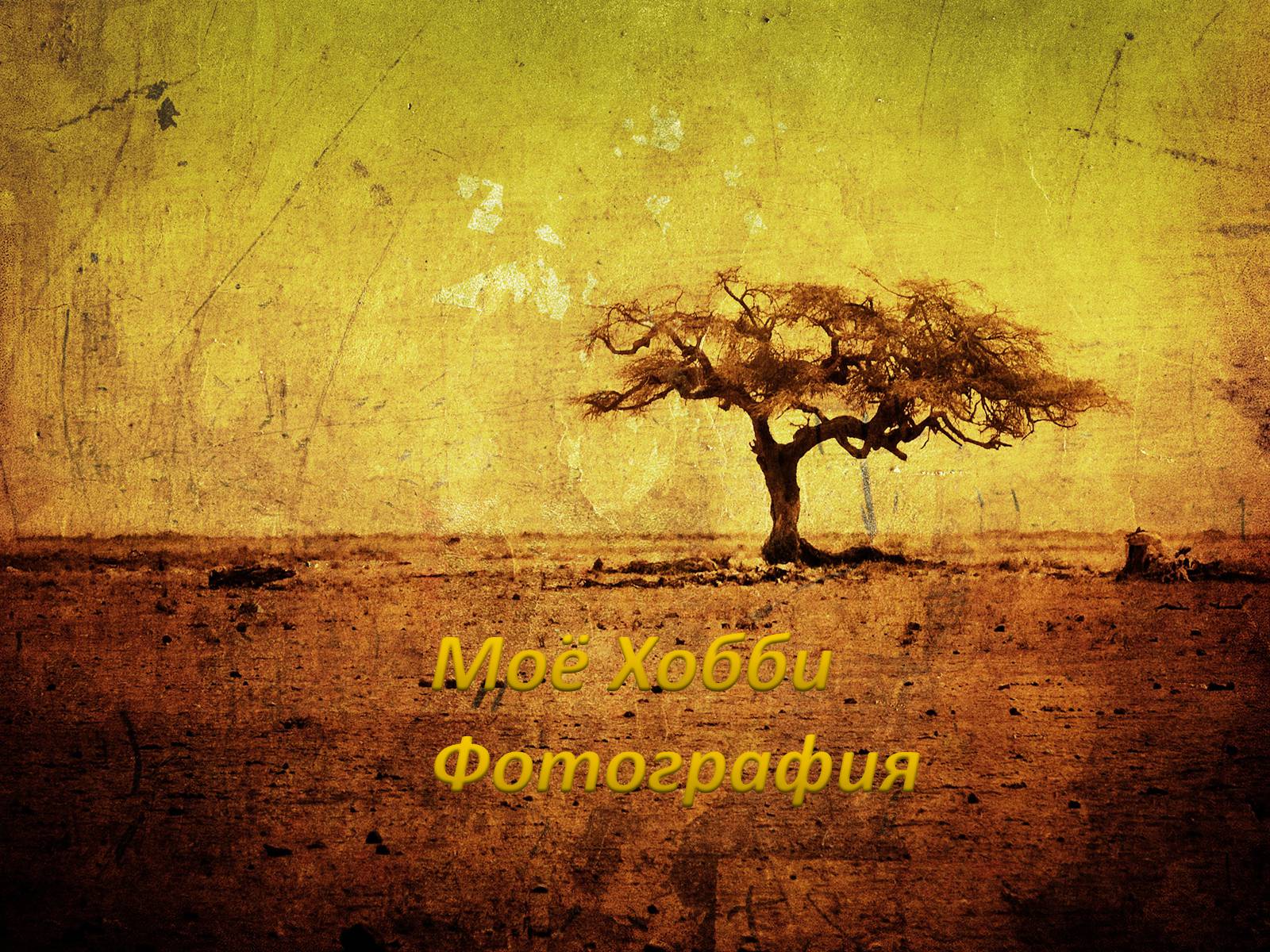Презентація на тему «Моё Хобби Фотография» - Слайд #1 Презентація на тему «Моё Хобби Фотография» - Слайд #1