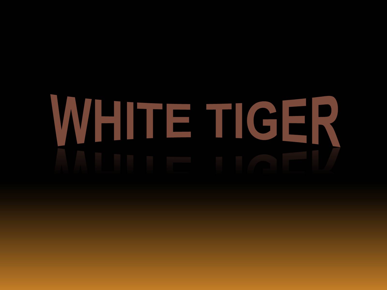 Презентація на тему «White Tiger» - Слайд #1 Презентація на тему «White Tiger» - Слайд #1