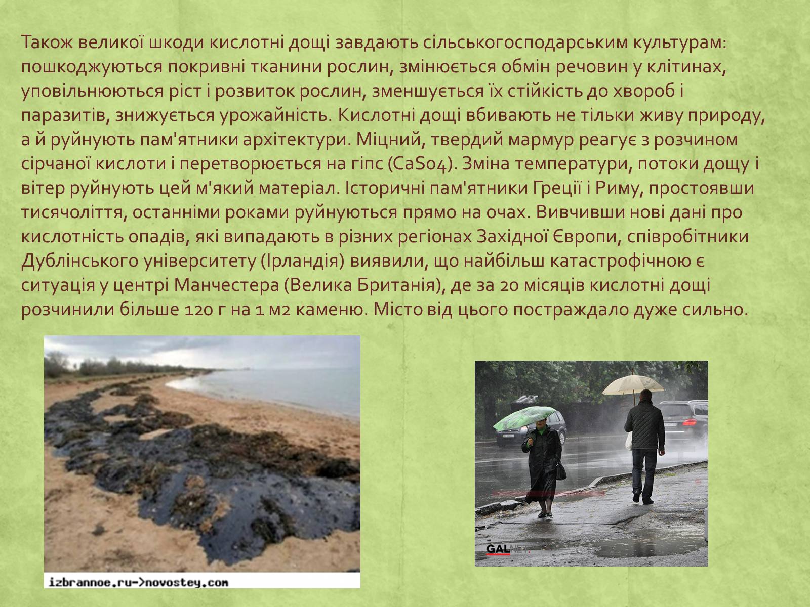 Презентація на тему «Екологія» (варіант 3) - Слайд #29 Презентація на тему «Екологія» (варіант 3) - Слайд #29
