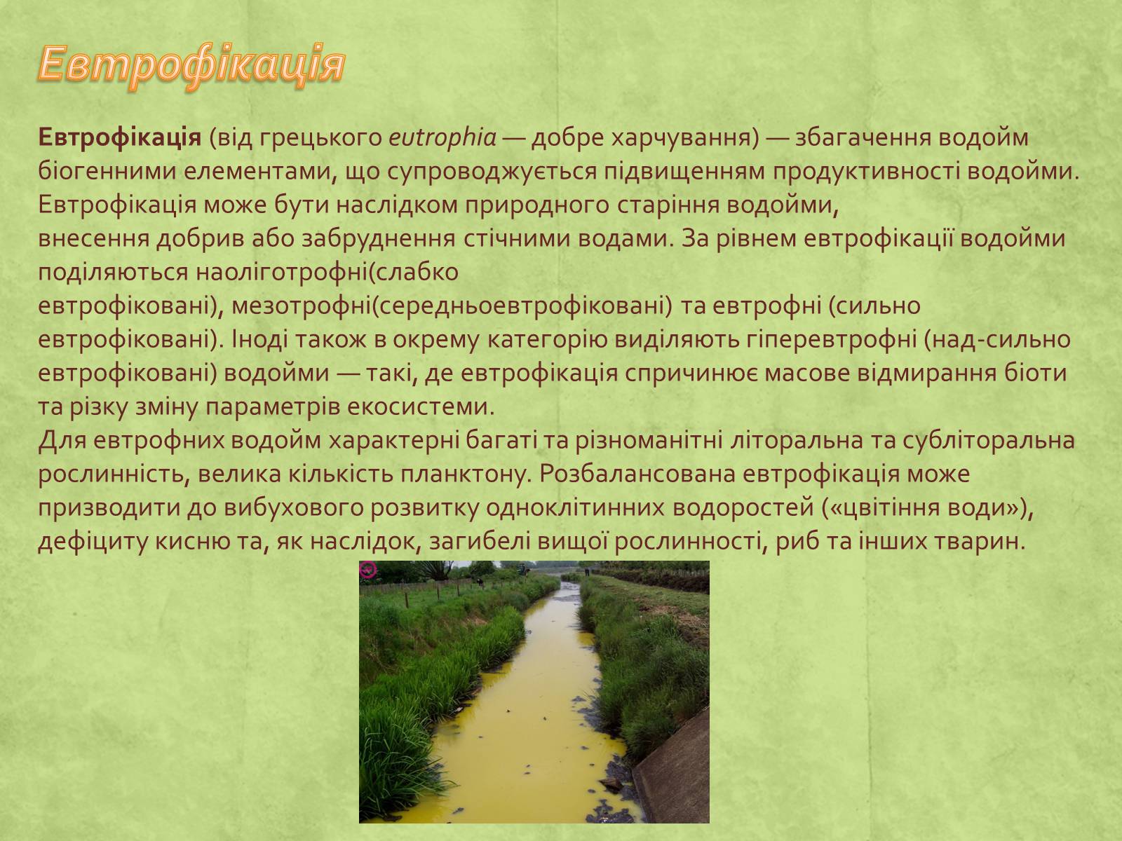 Презентація на тему «Екологія» (варіант 3) - Слайд #42 Презентація на тему «Екологія» (варіант 3) - Слайд #42